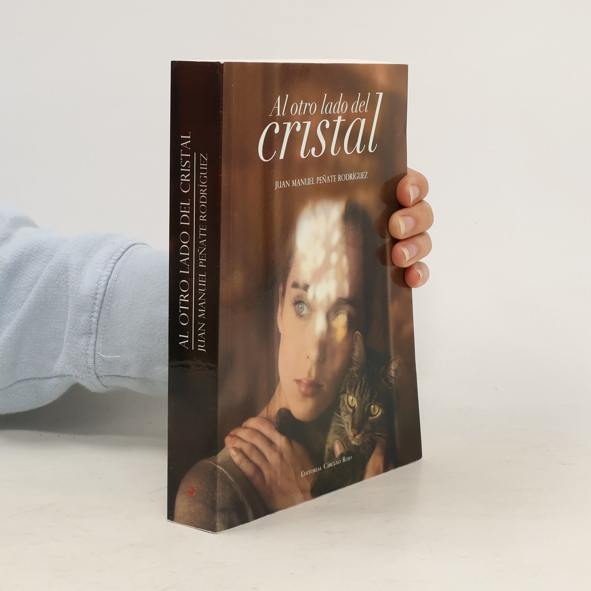 Juan Manuel Peñate Rodríguez Al otro lado del cristal