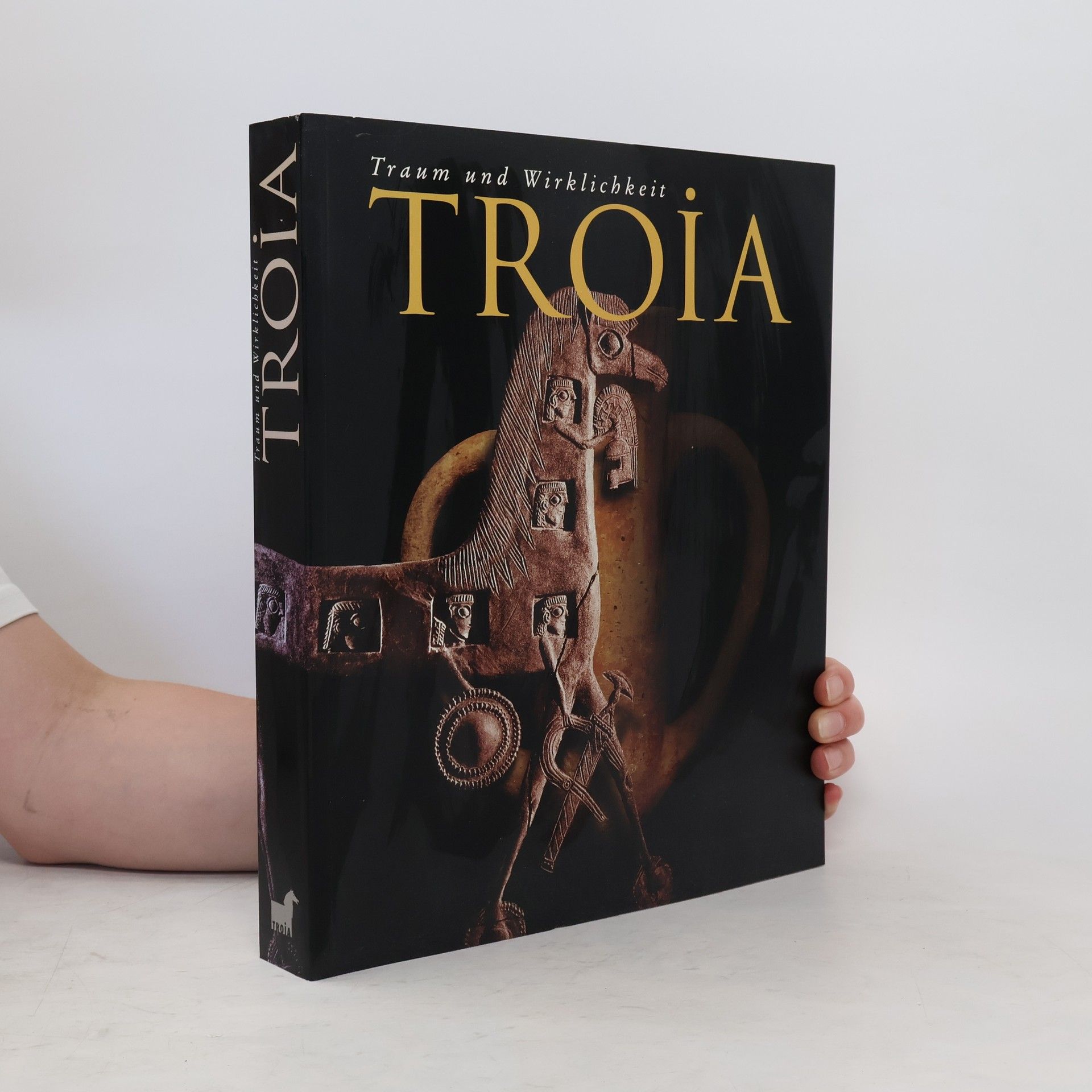 Collectif d'auteurs Troia : Traum und wirklichkeit