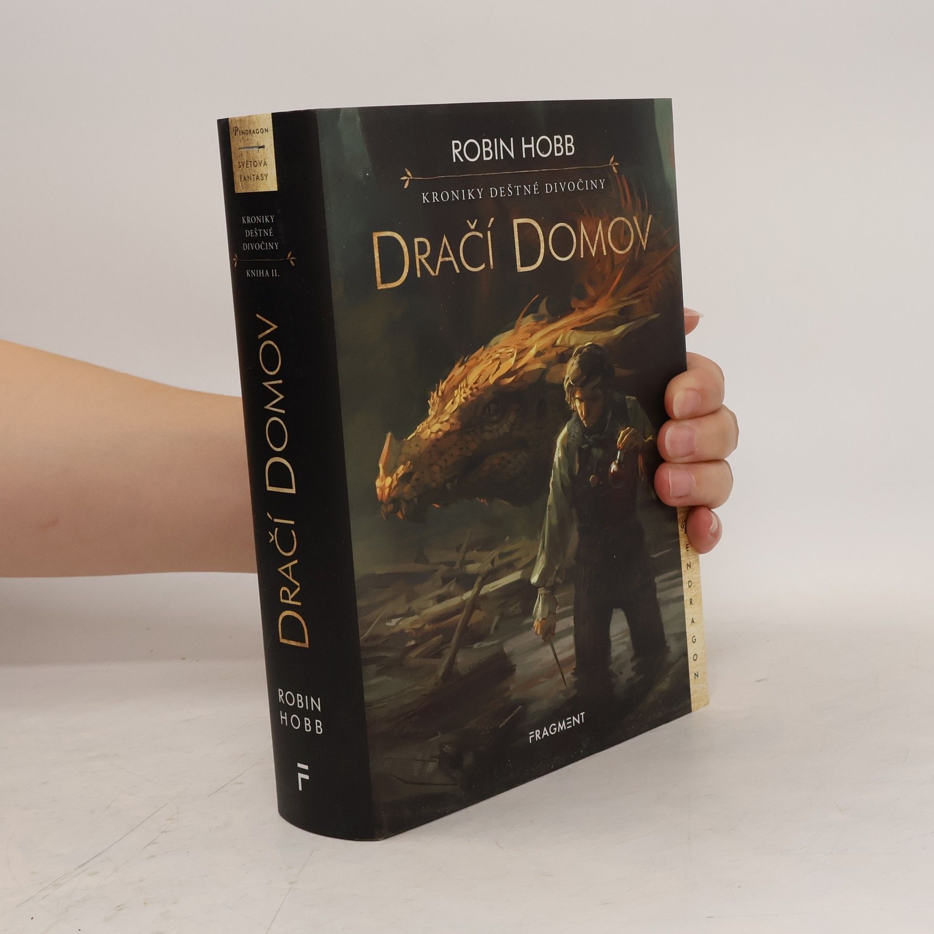 Robin Hobb Dračí domov