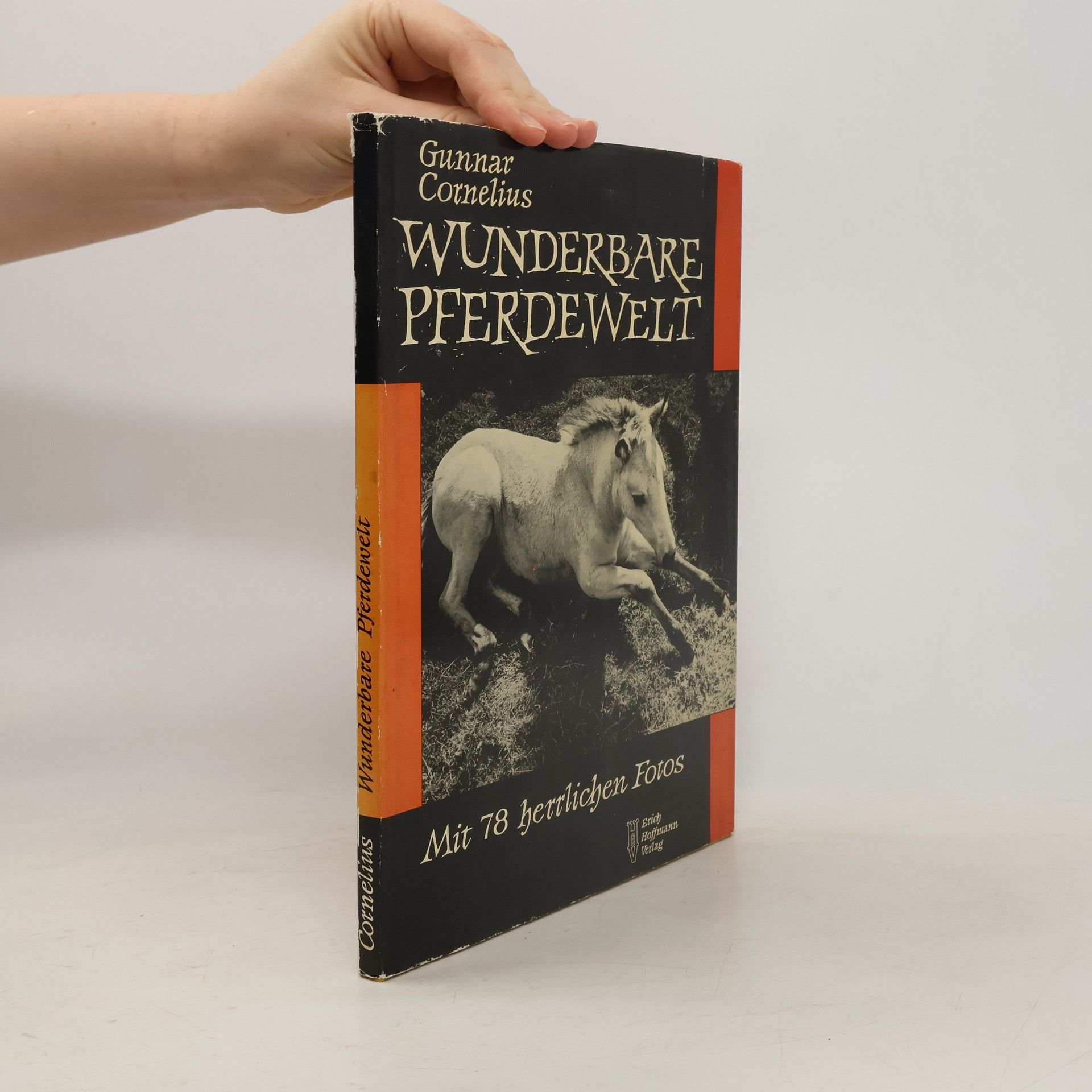 Gunnar Cornelius Wunderbare Pferdewelt