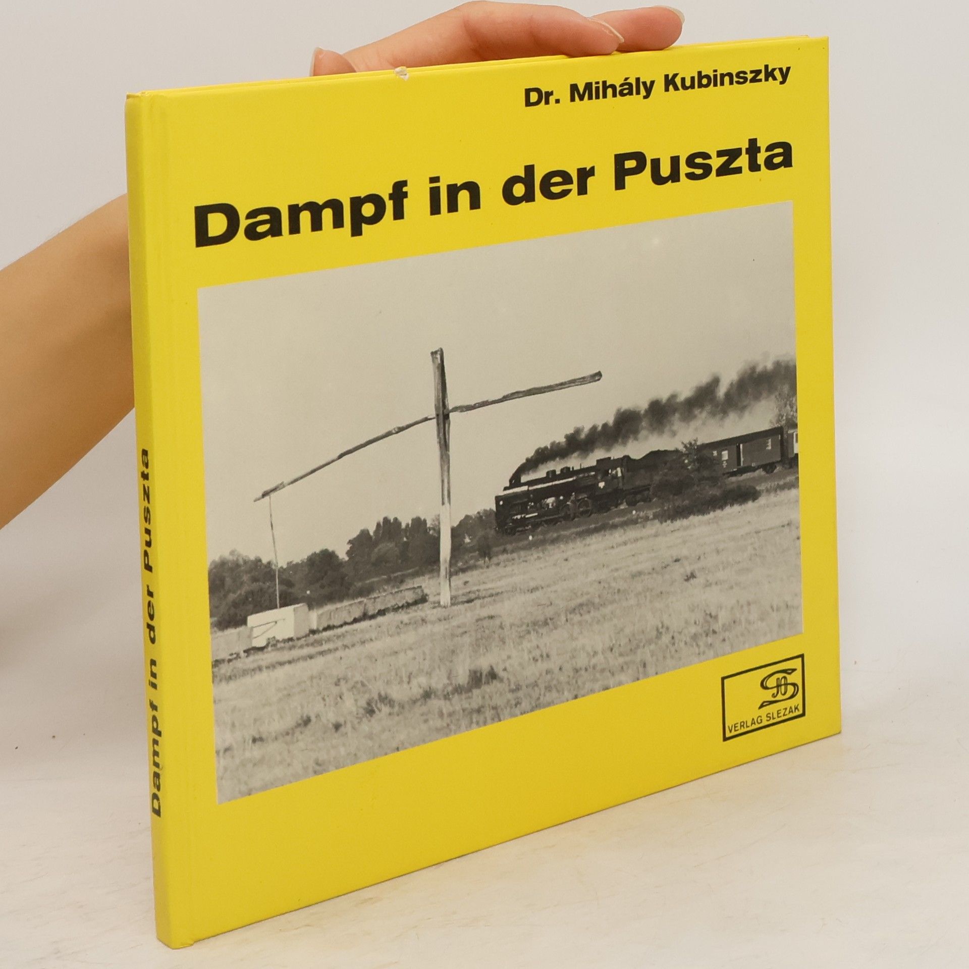 Mihály Kubinszky Dampf in der Puszta