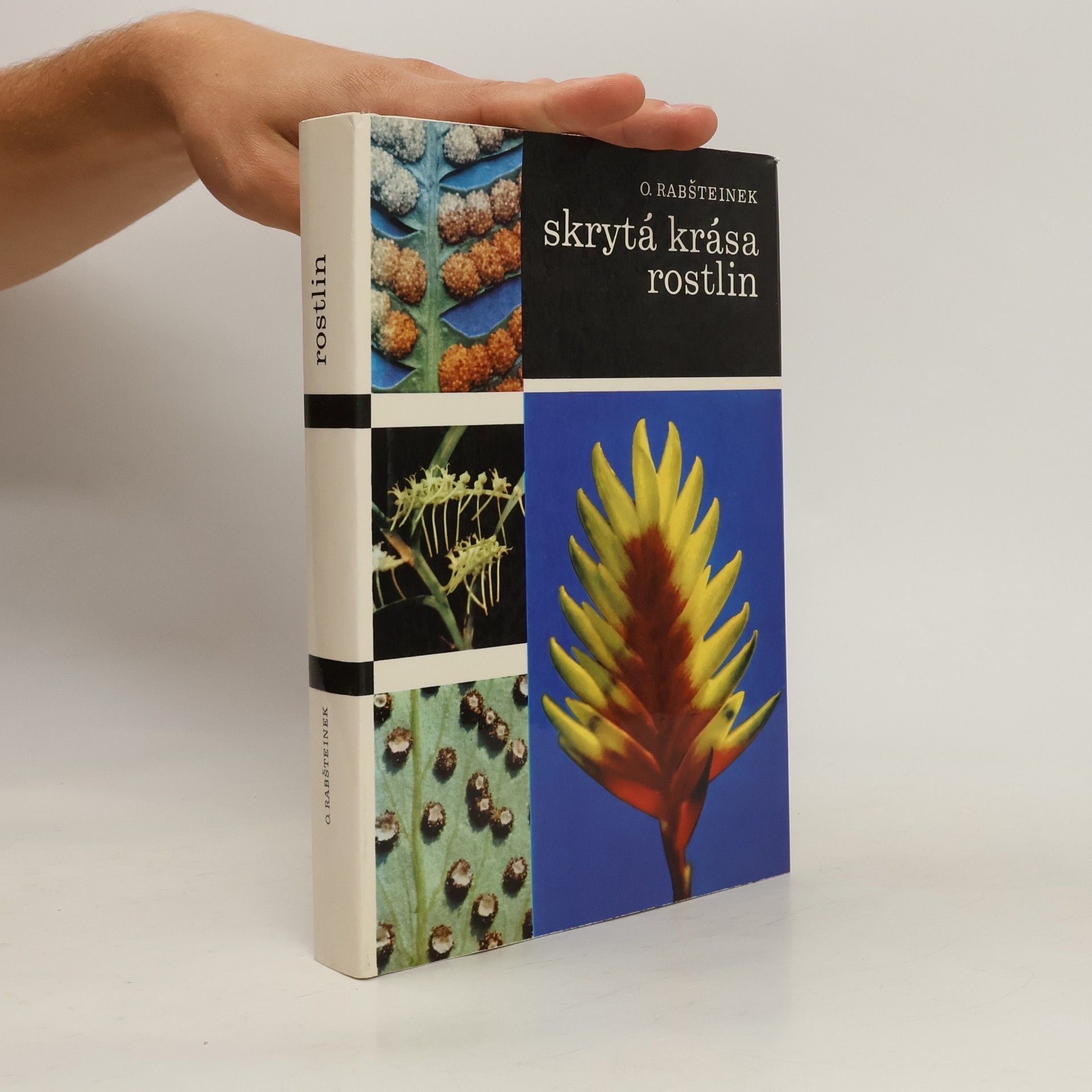 Otomar Rabšteinek Skrytá krása rostlin