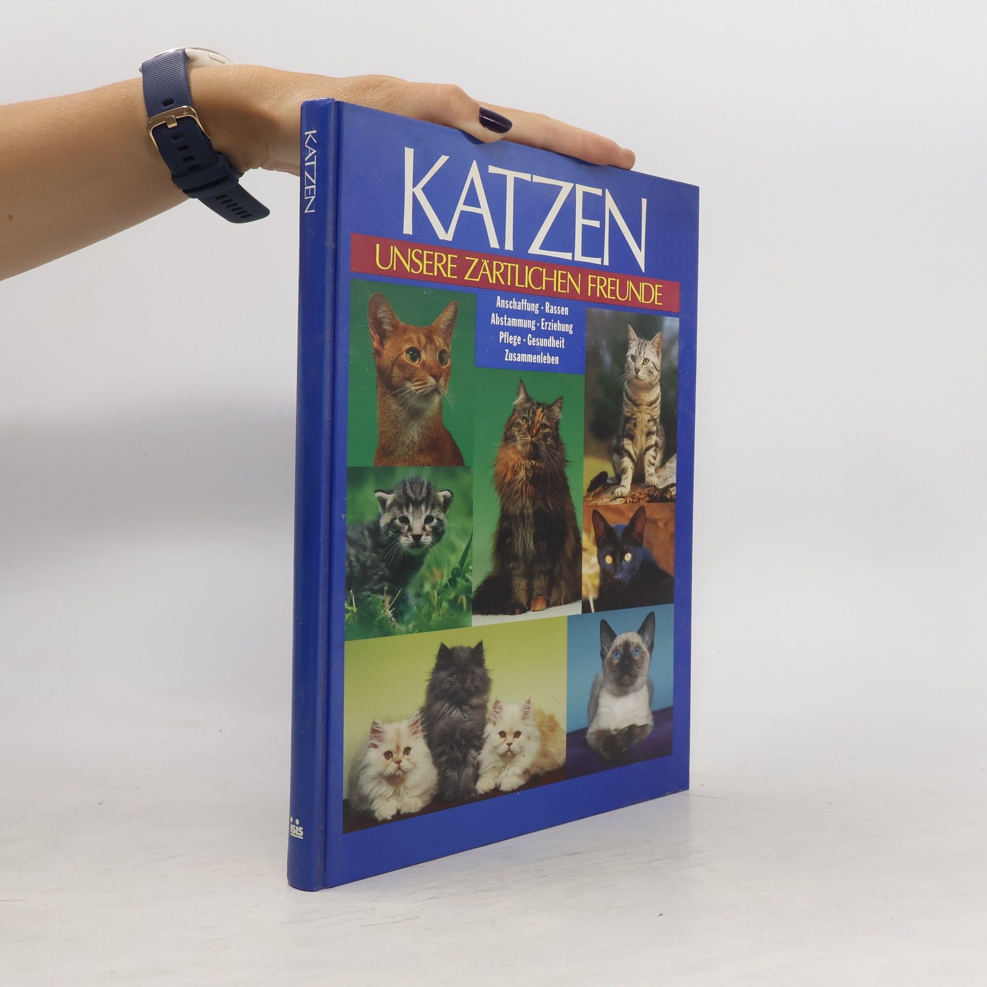 Antje Breuer Katzen. Unsere zärtlichen Freunde