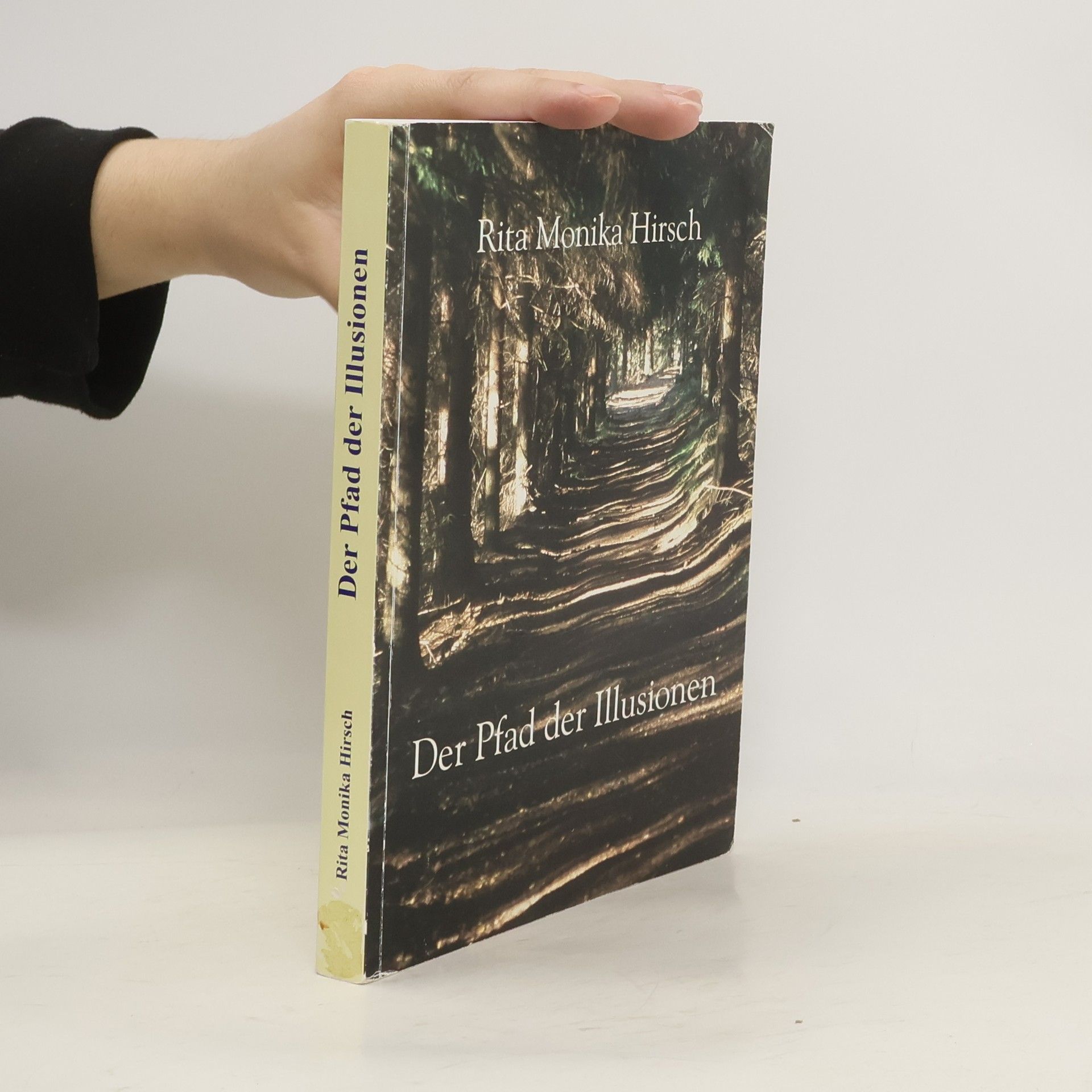 Der Pfad der Illusionen