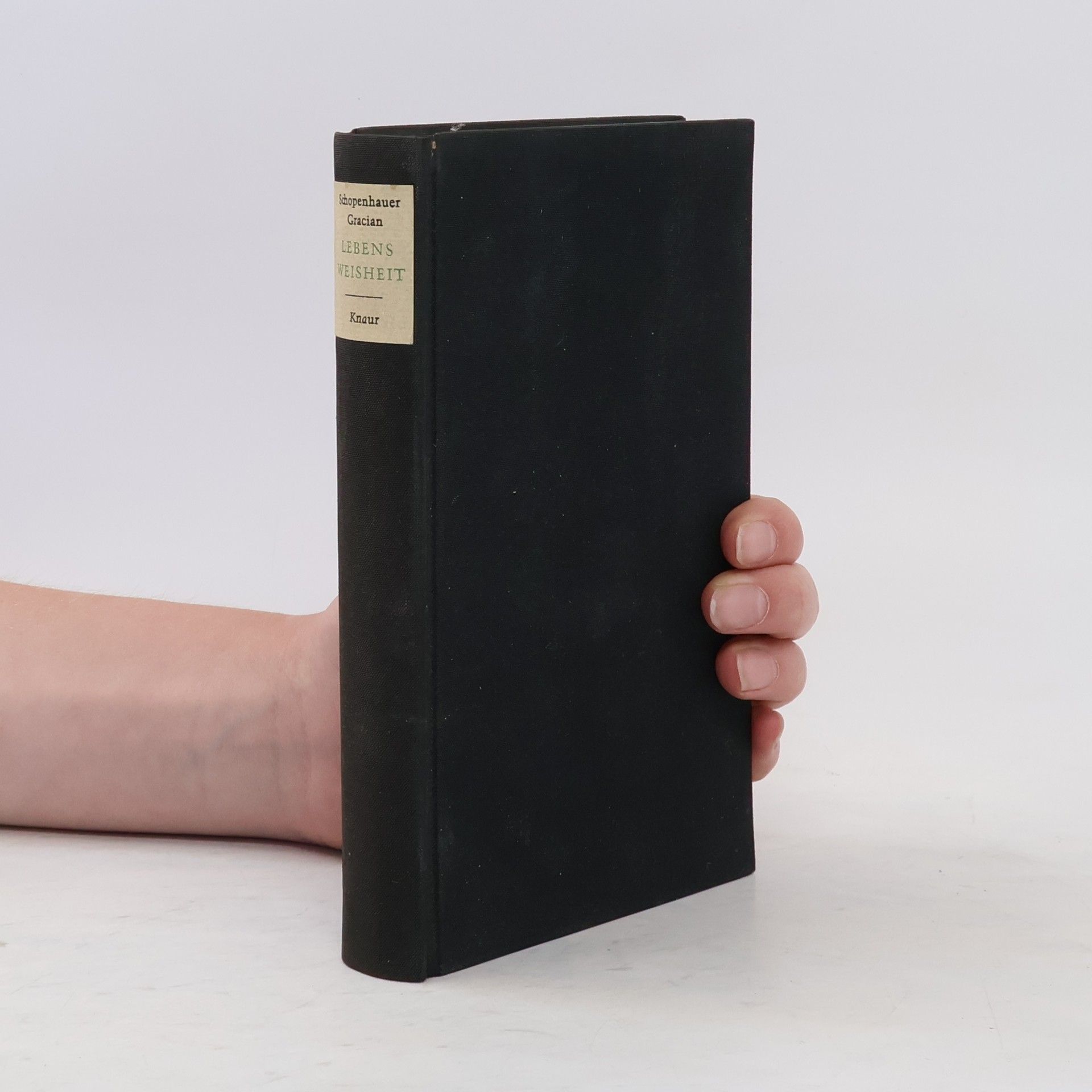 Arthur Schopenhauer Lebensweisheit. Aphorismen zur Lebensweisheit. Handorakel und Kunst der Weltklugheit