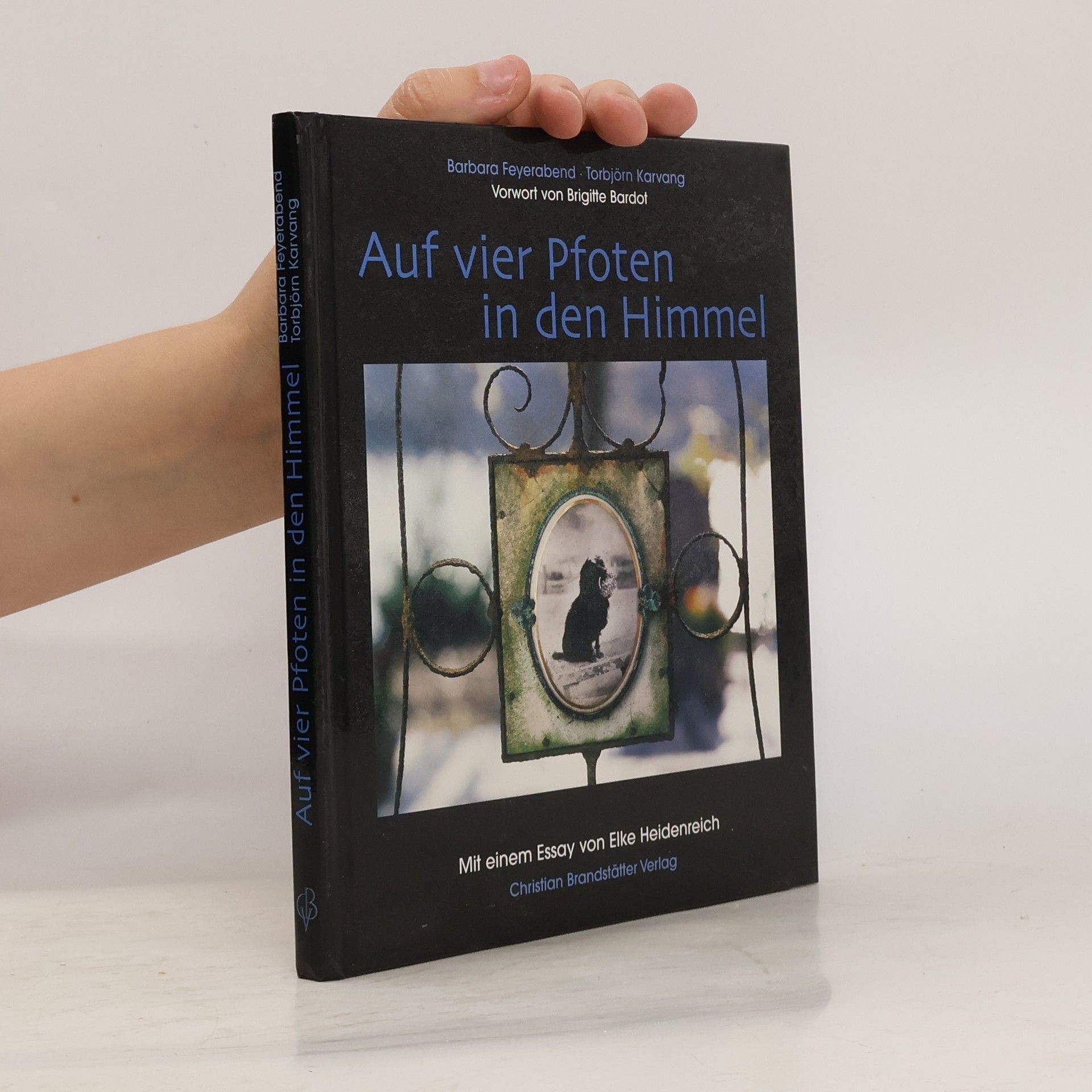 Barbara Feyerabend Auf vier Pfoten in den Himmel