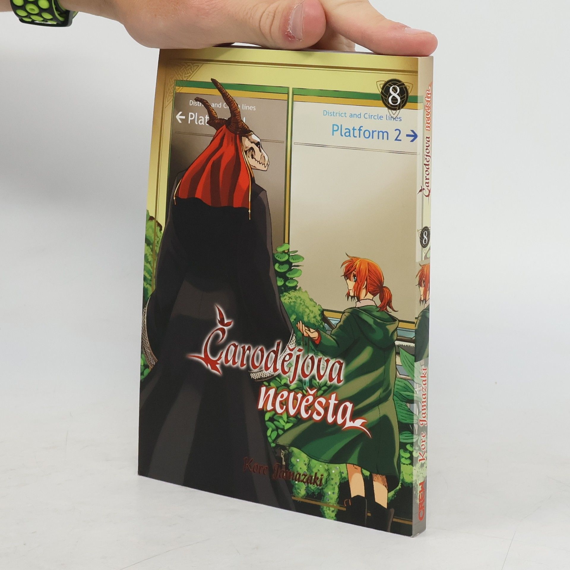 Kore Jamazaki Čarodějova nevěsta 8