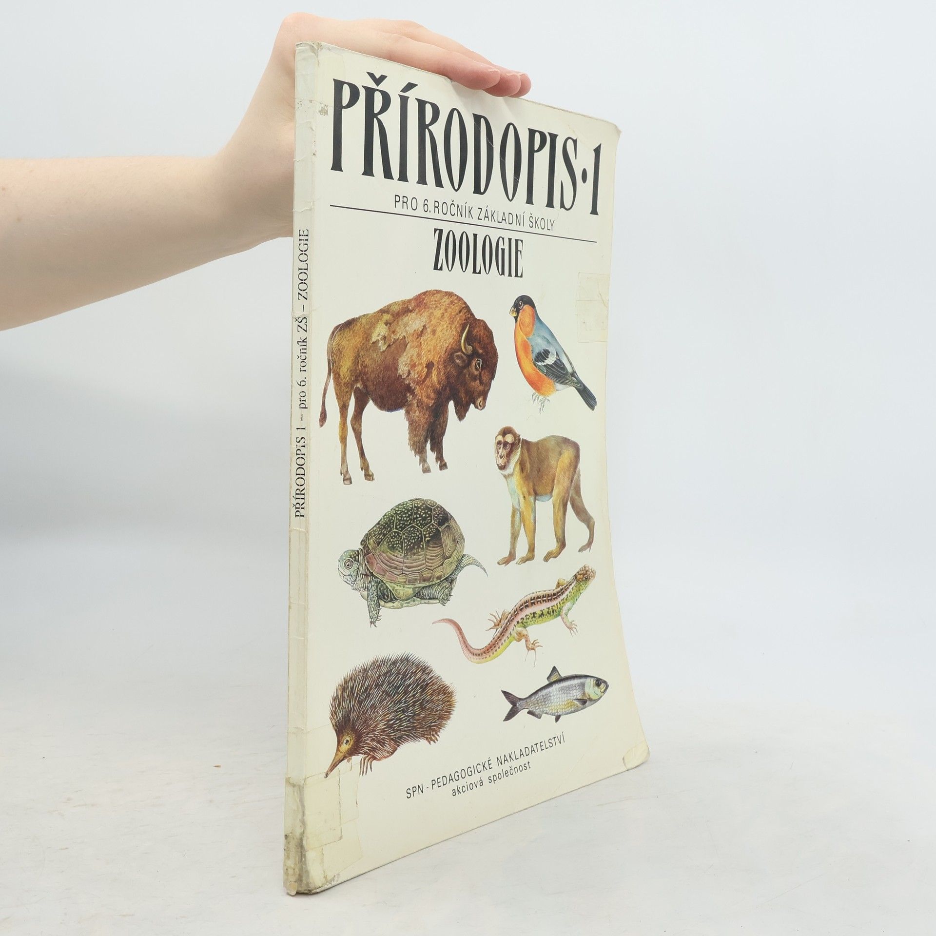 Vladimír Černík Přírodopis 1: Zoologie