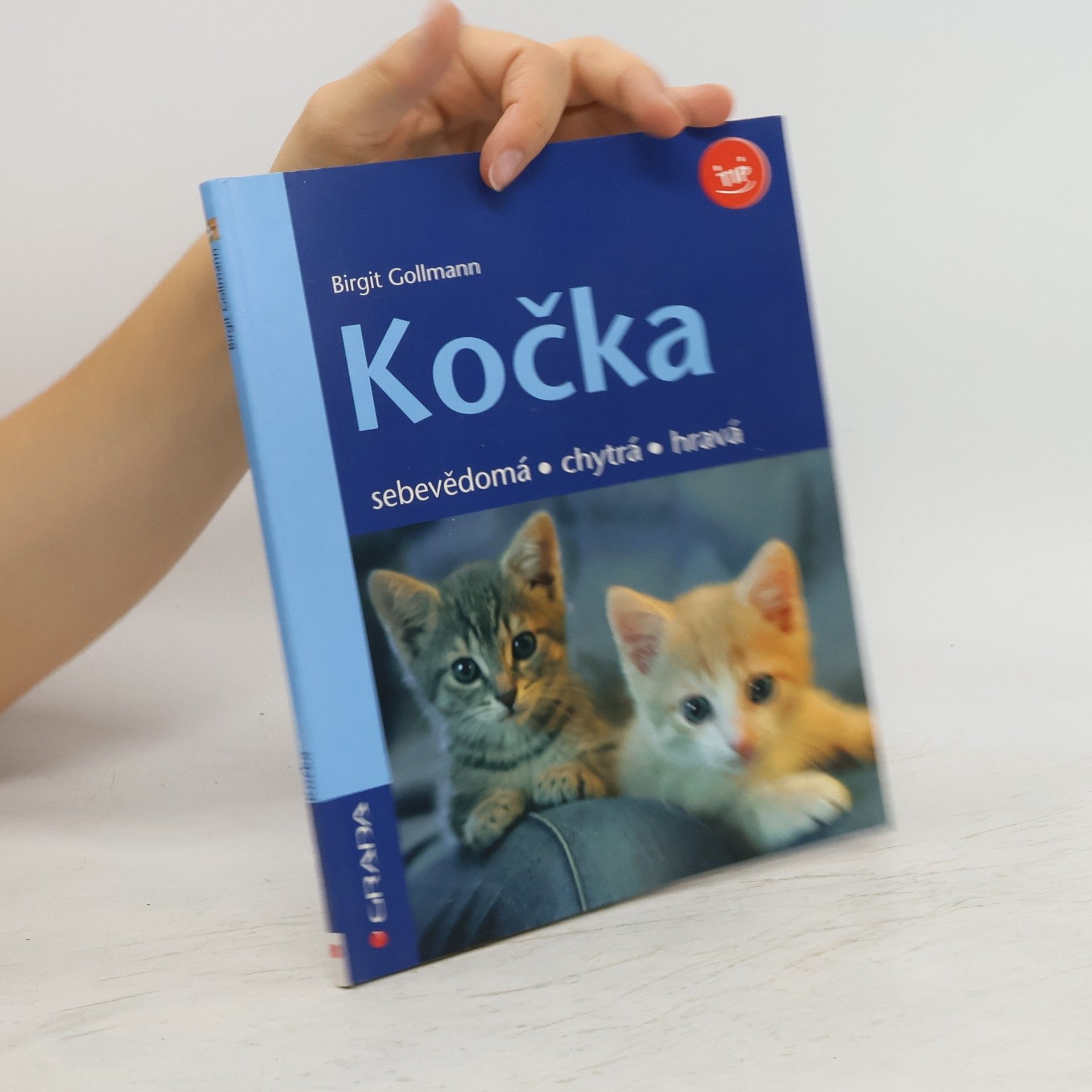 Birgit Gollmann Kočka - sebevědomá, chytrá, hravá