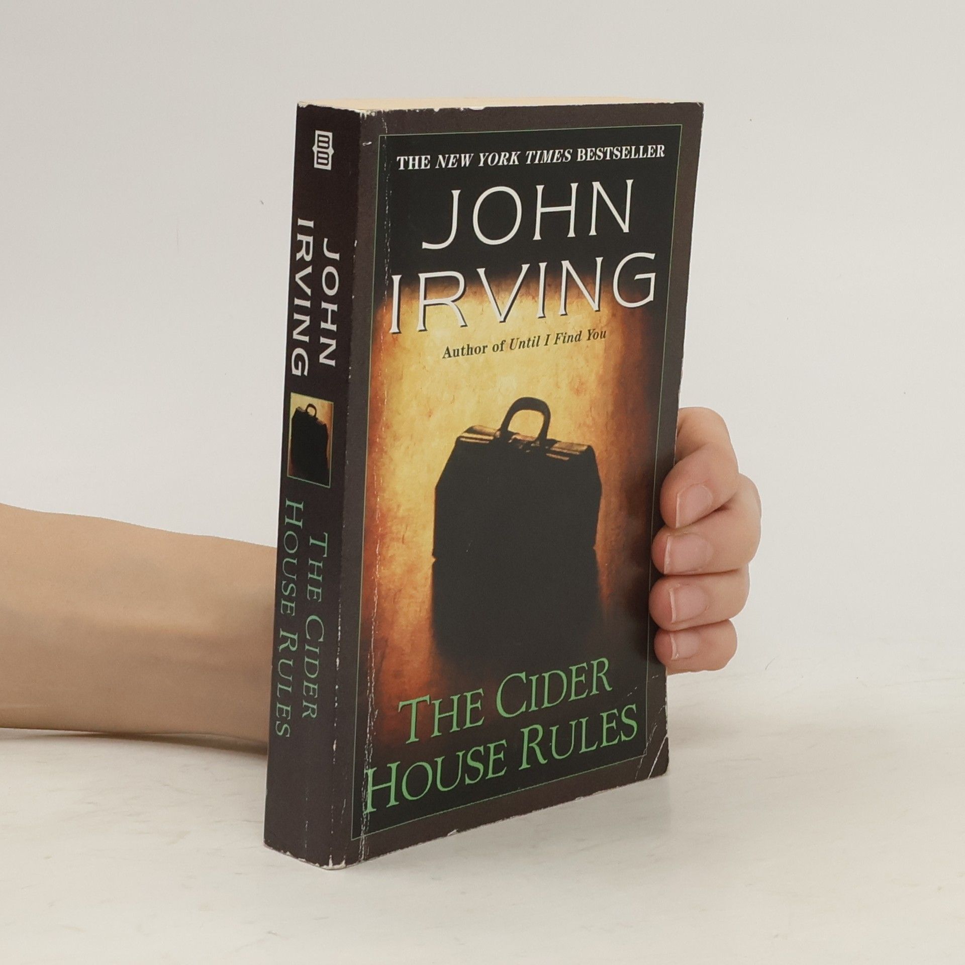 John Irving The cider house rules