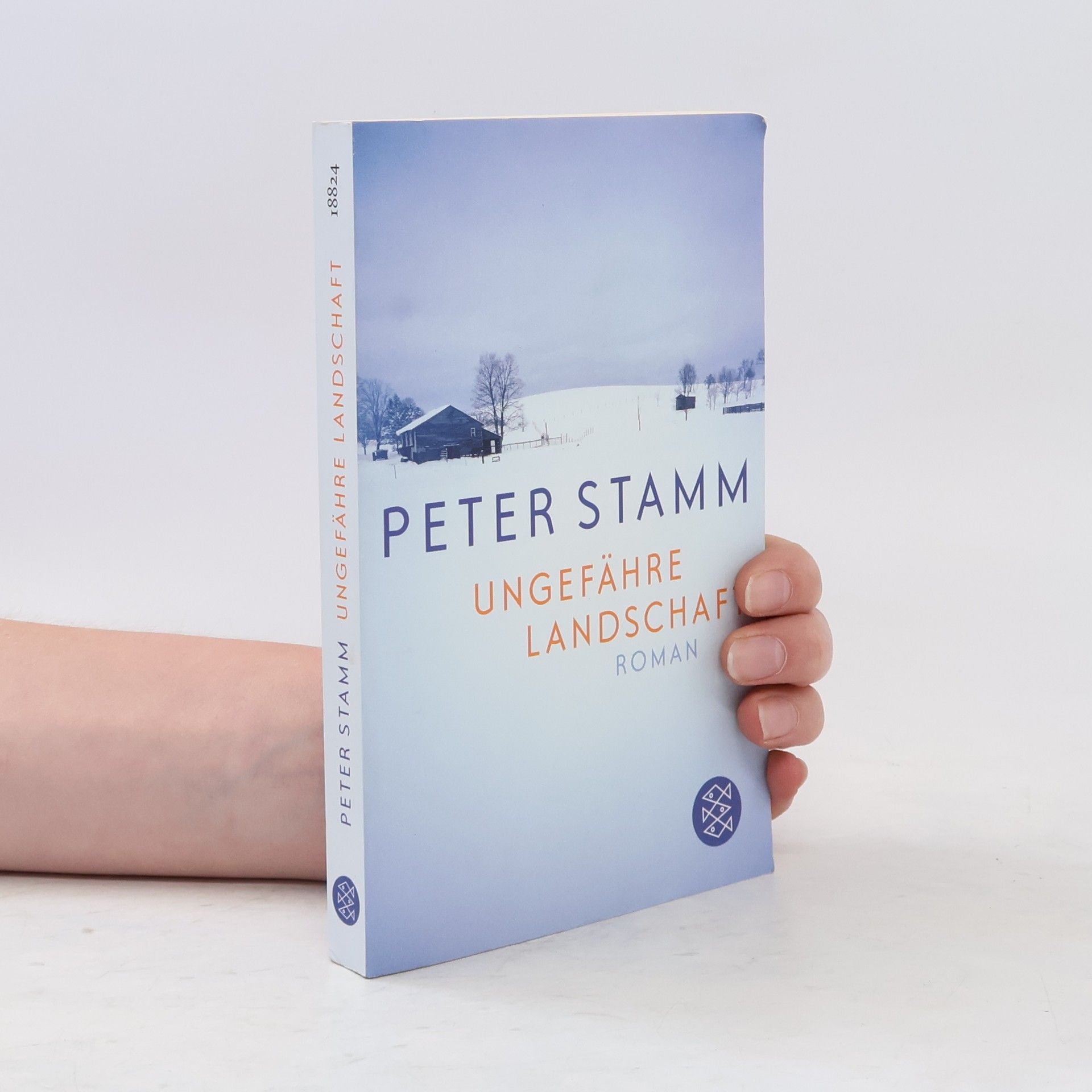 Peter Stamm Ungefähre Landschaft