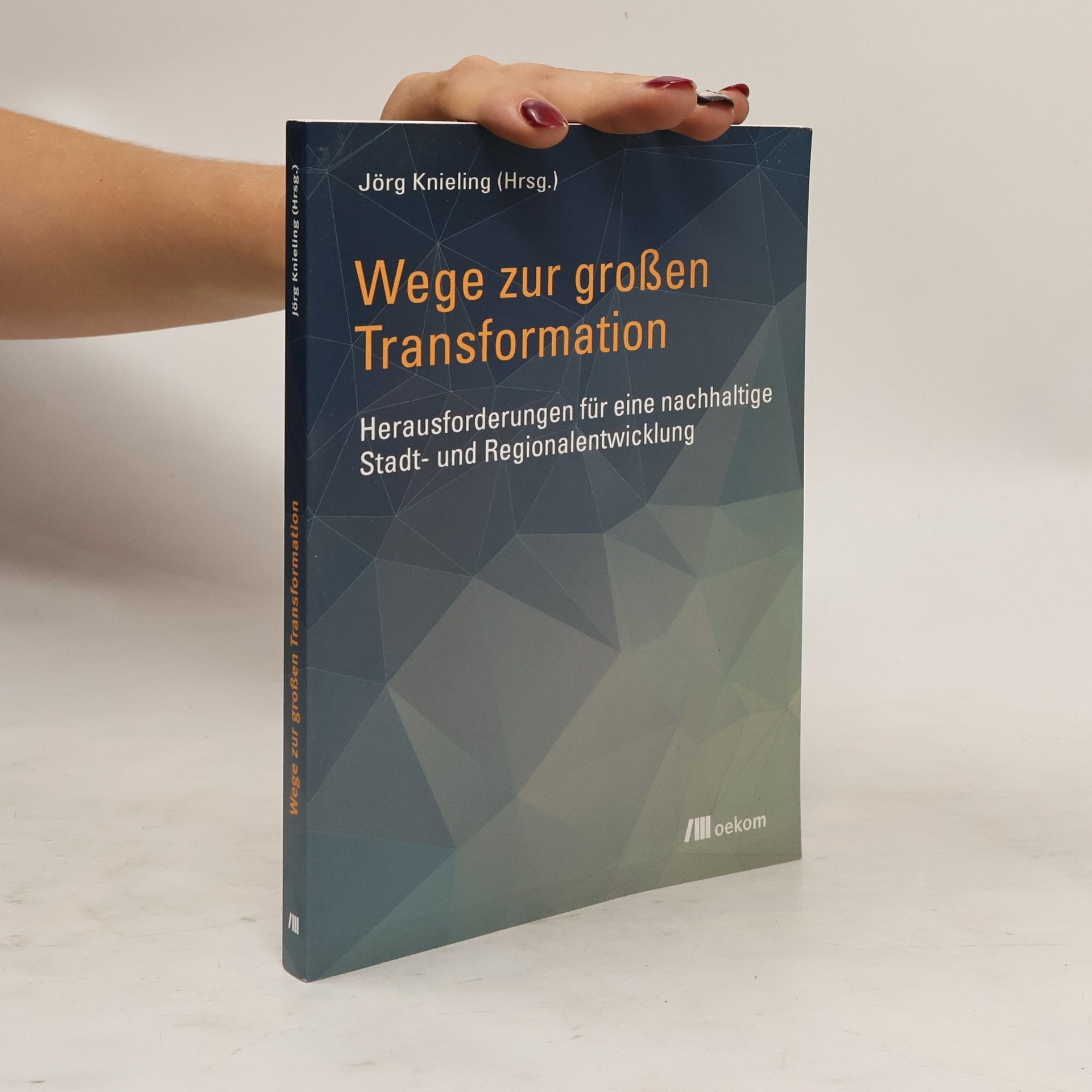 Jörg Knieling Wege zur grossen Transformation