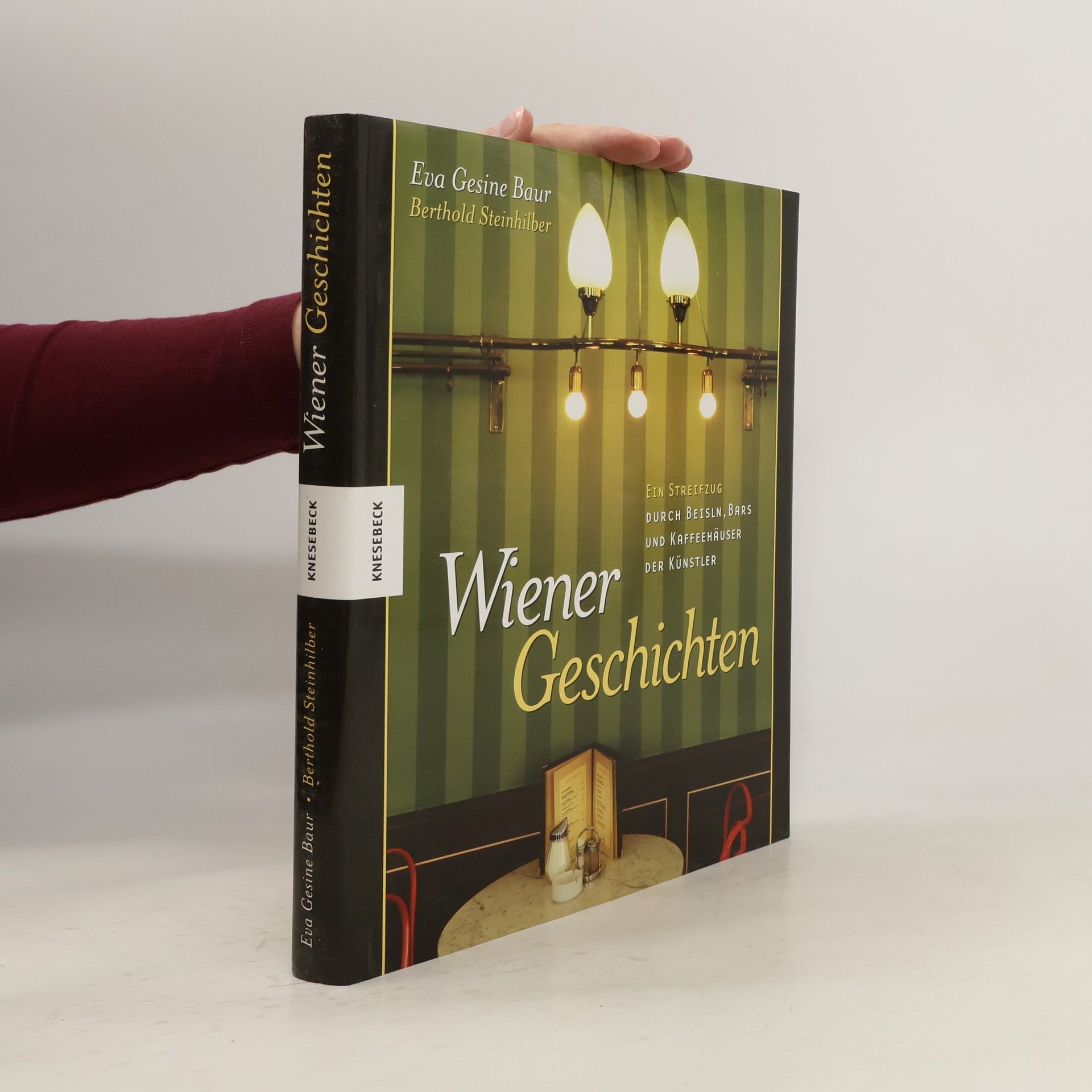 Eva G Baur Wiener Geschichten - ein Streifzug durch Beisln, Bars und Kaffeehäuser der Künstler. Ein Streifzug durch Beisln, Bars und Kaffeehäuser der Künstler