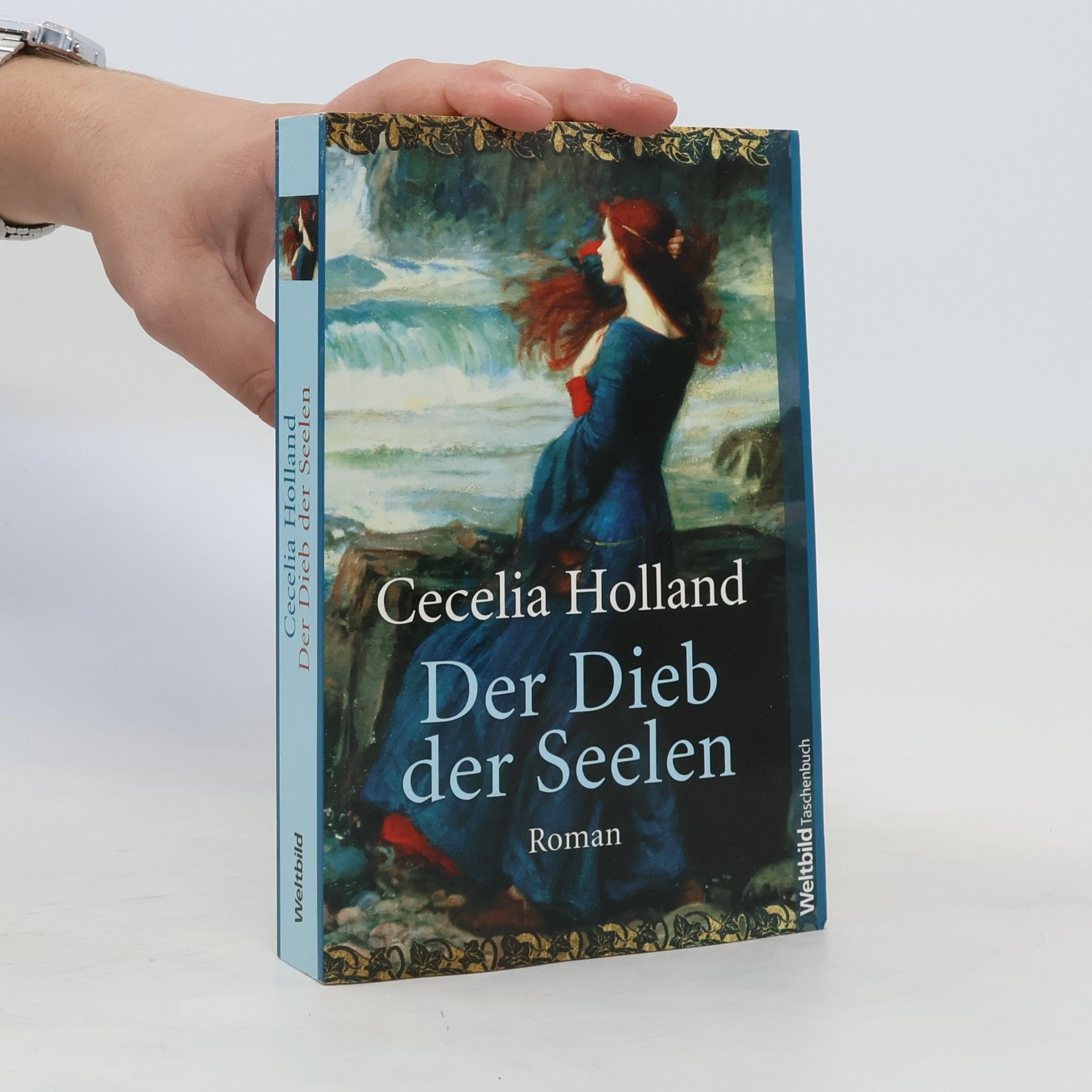 Cecelia Holland Der Dieb der Seelen
