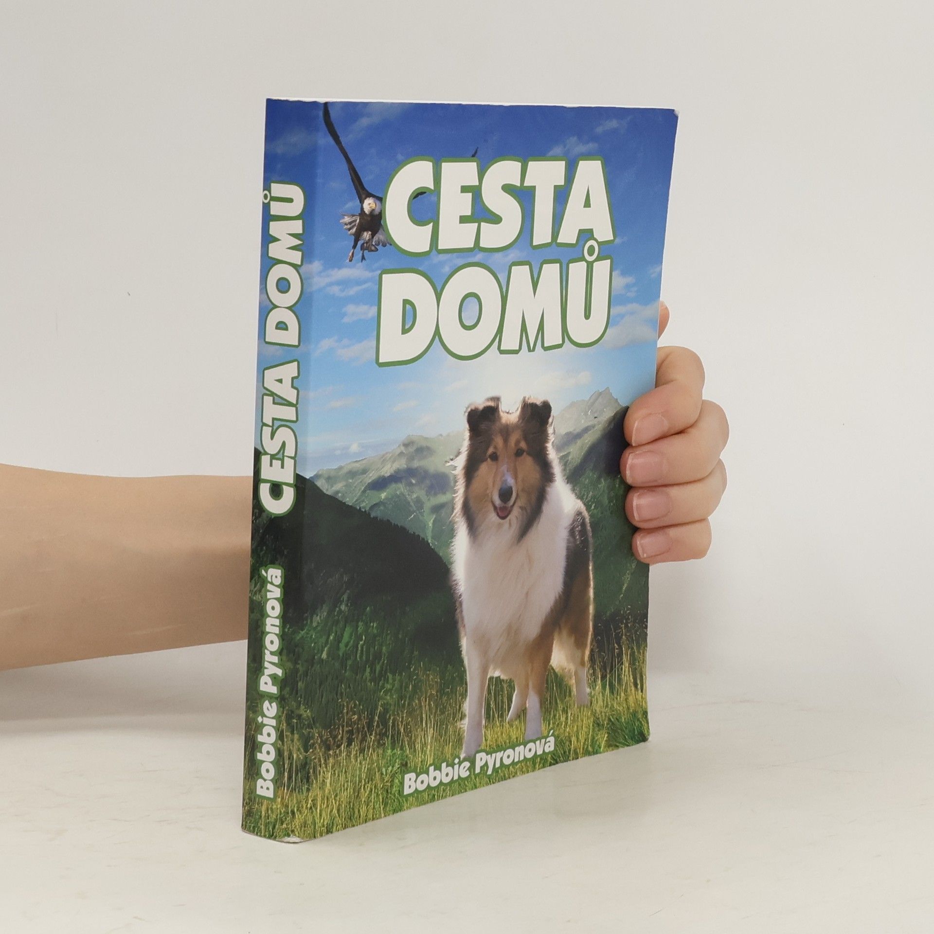 Bobbie Pyron Cesta domů