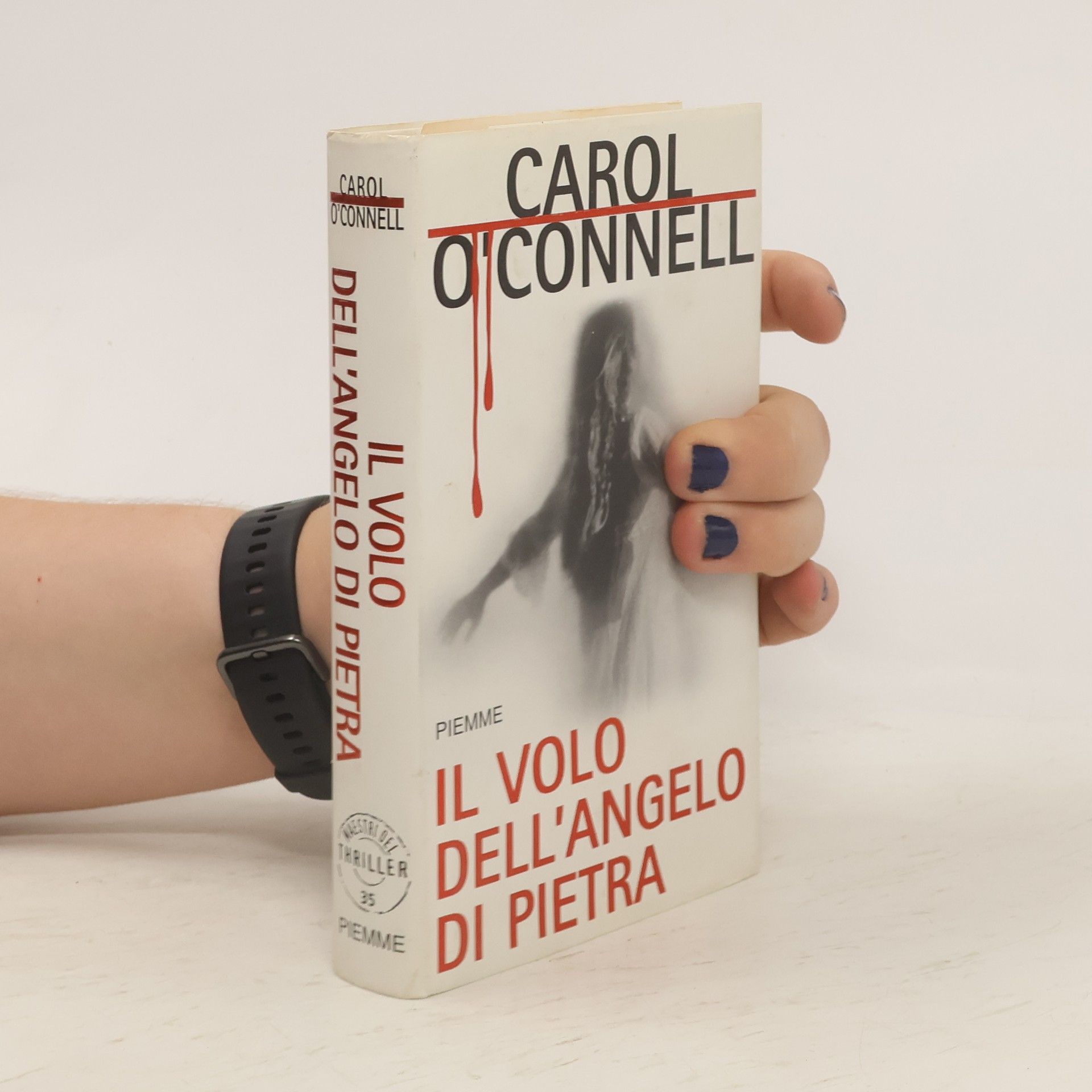 Carol O. Connell Il volo dell'angelo di pietra