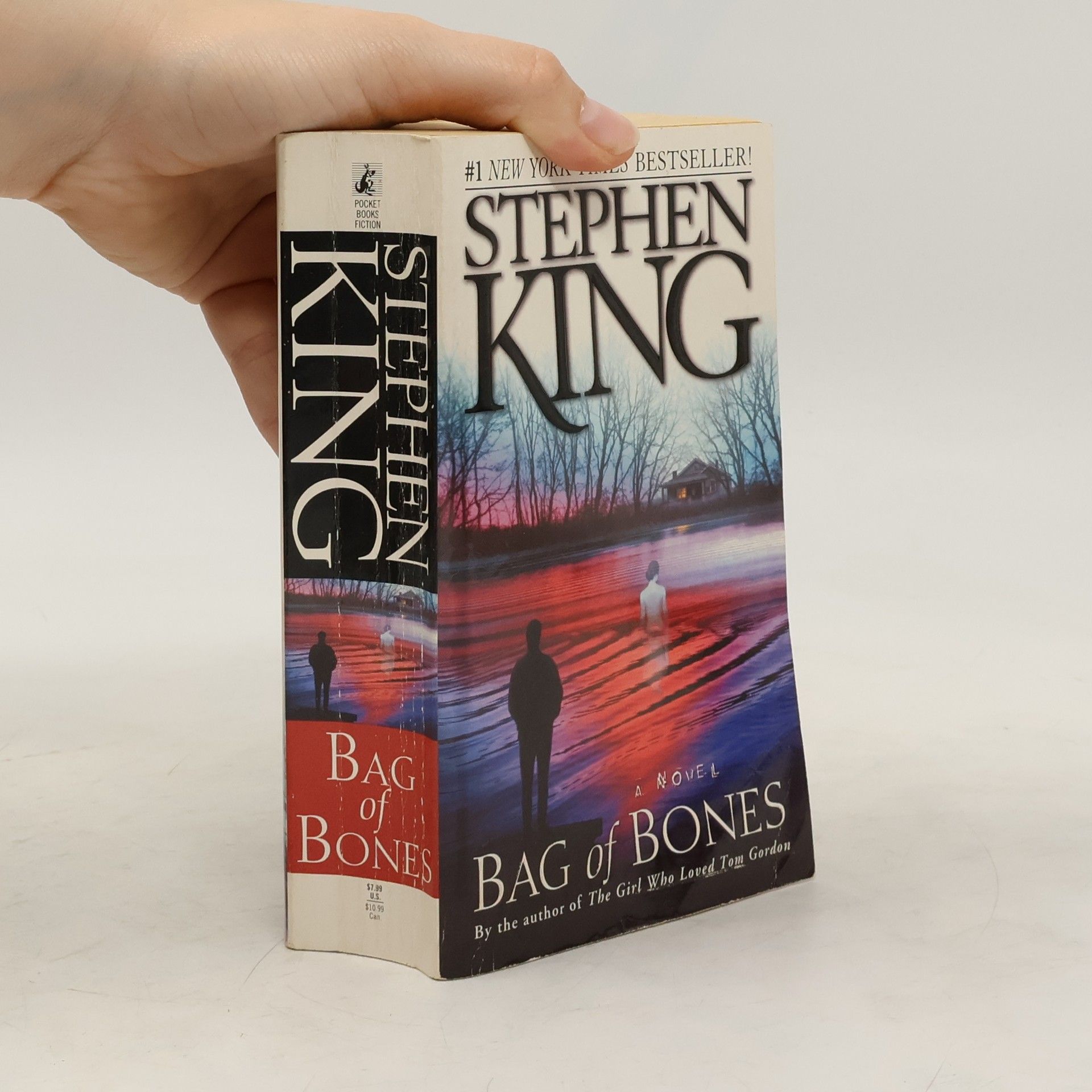 Stephen King Bag of Bones
