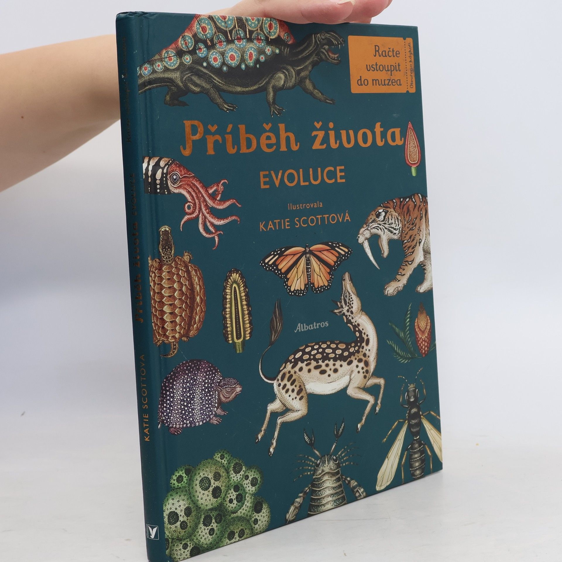 Fiona Munro Příběh života: Evoluce