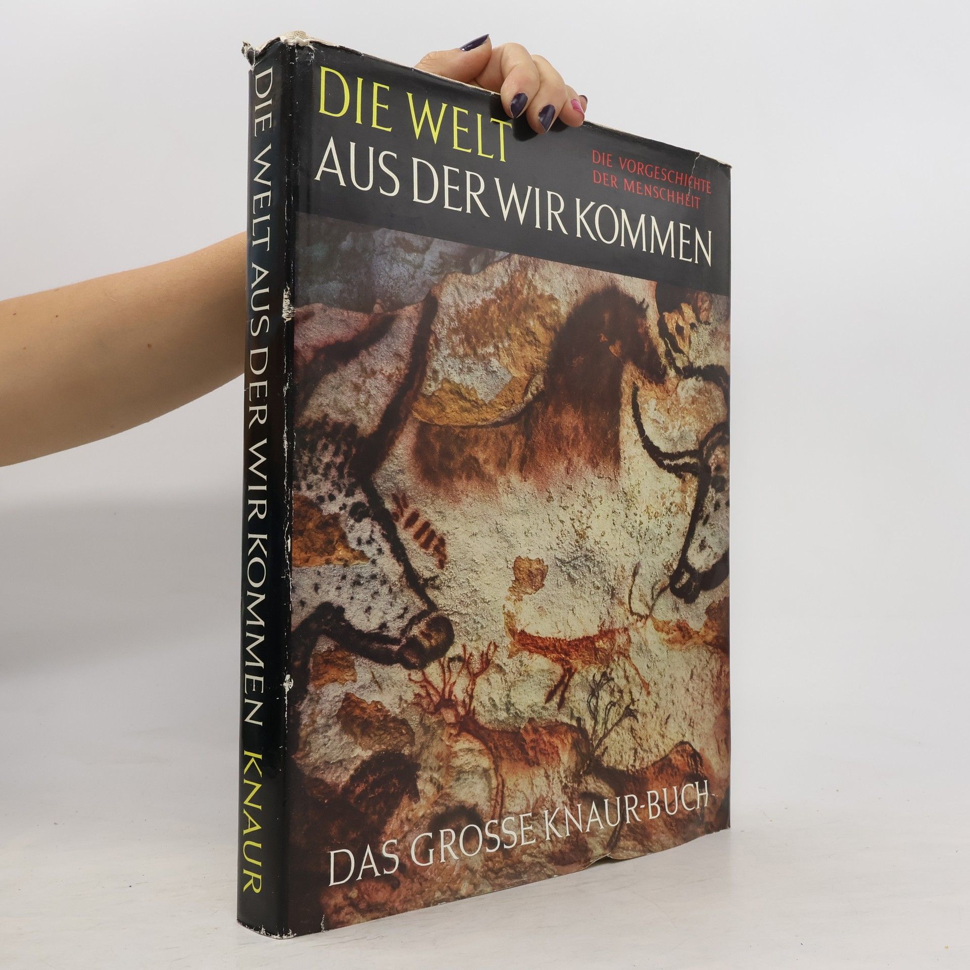 Stuart Piggott Die Welt, aus der wir kommen