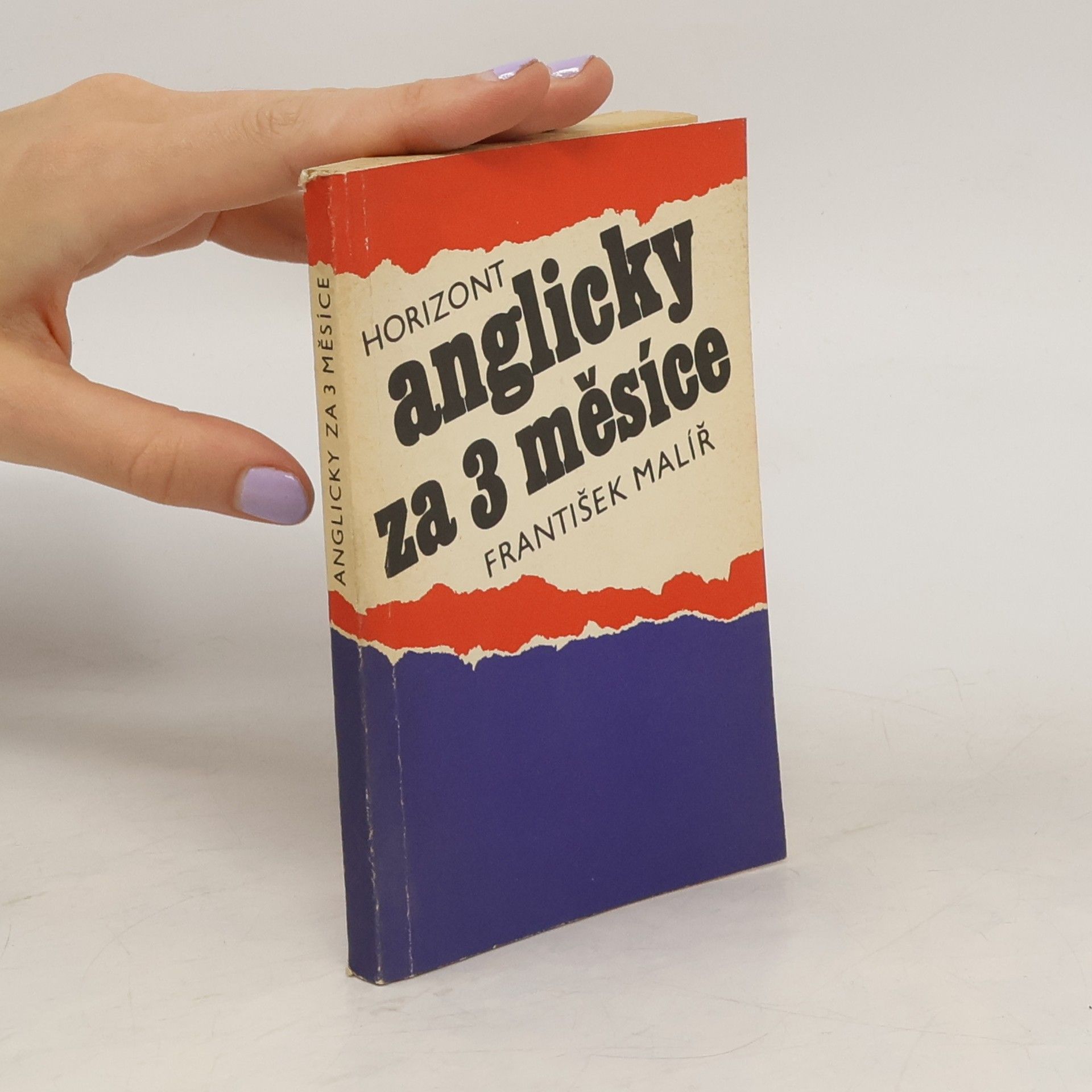 František Malíř Anglicky za 3 měsíce