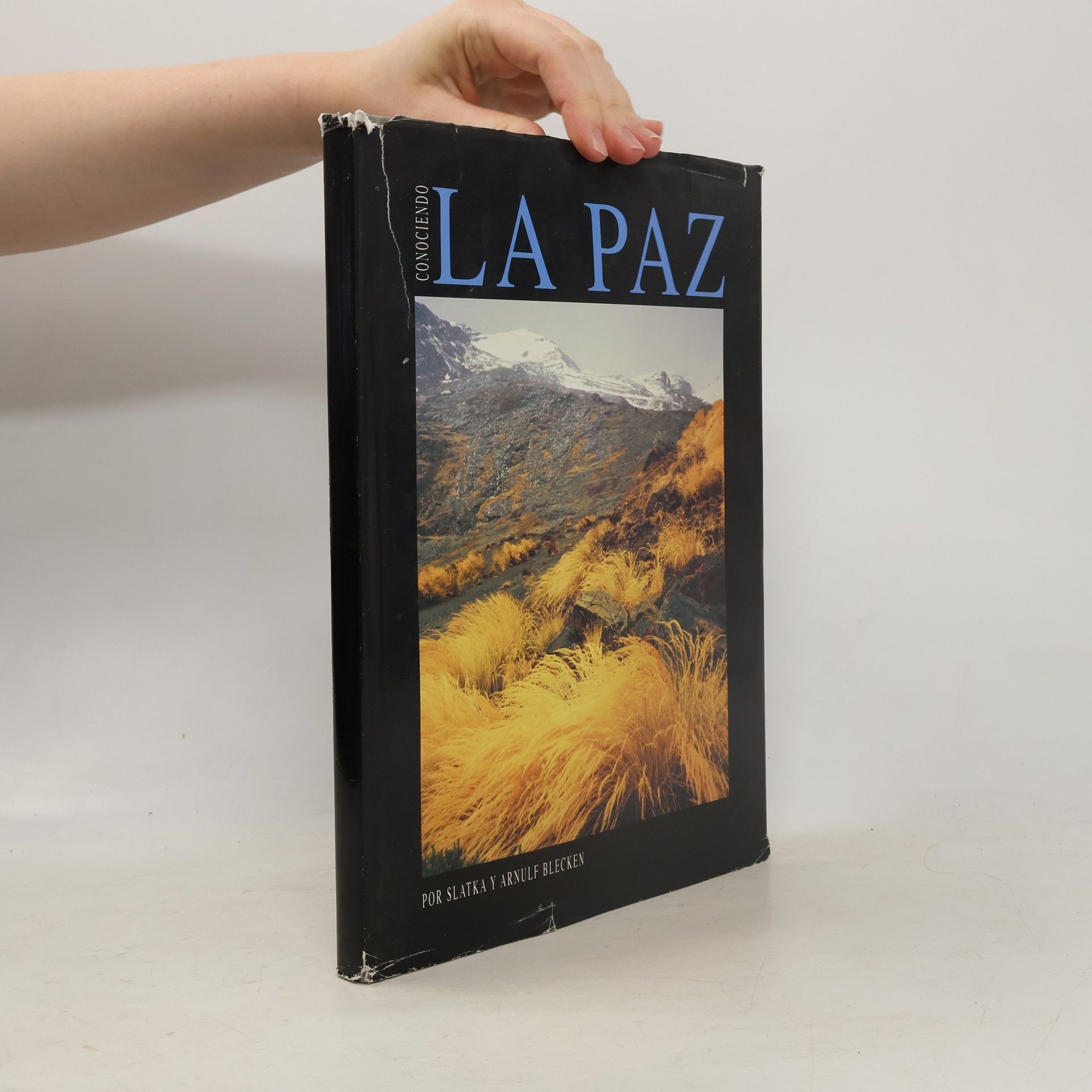 Armulf Blecken La Paz
