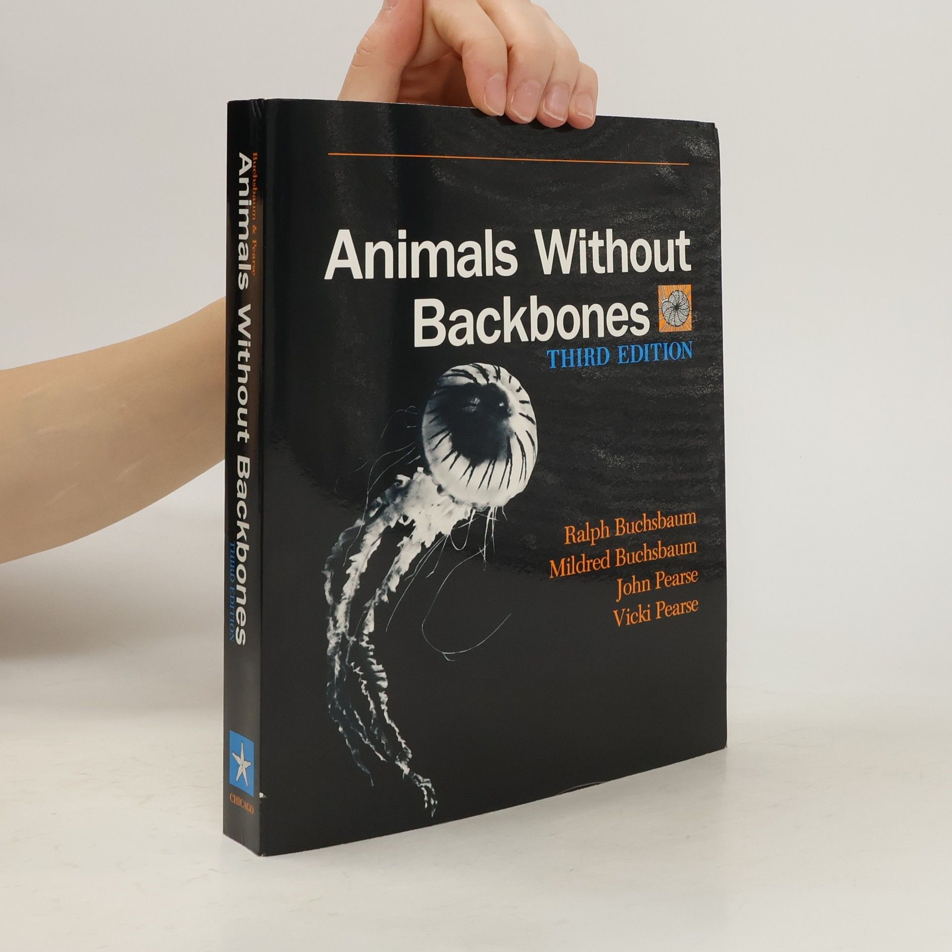 Collectif d'auteurs Animals Without Backbones