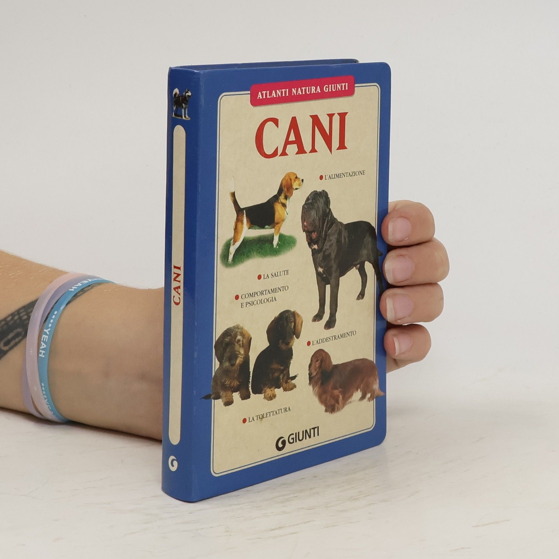 Margherita Neri Cani
