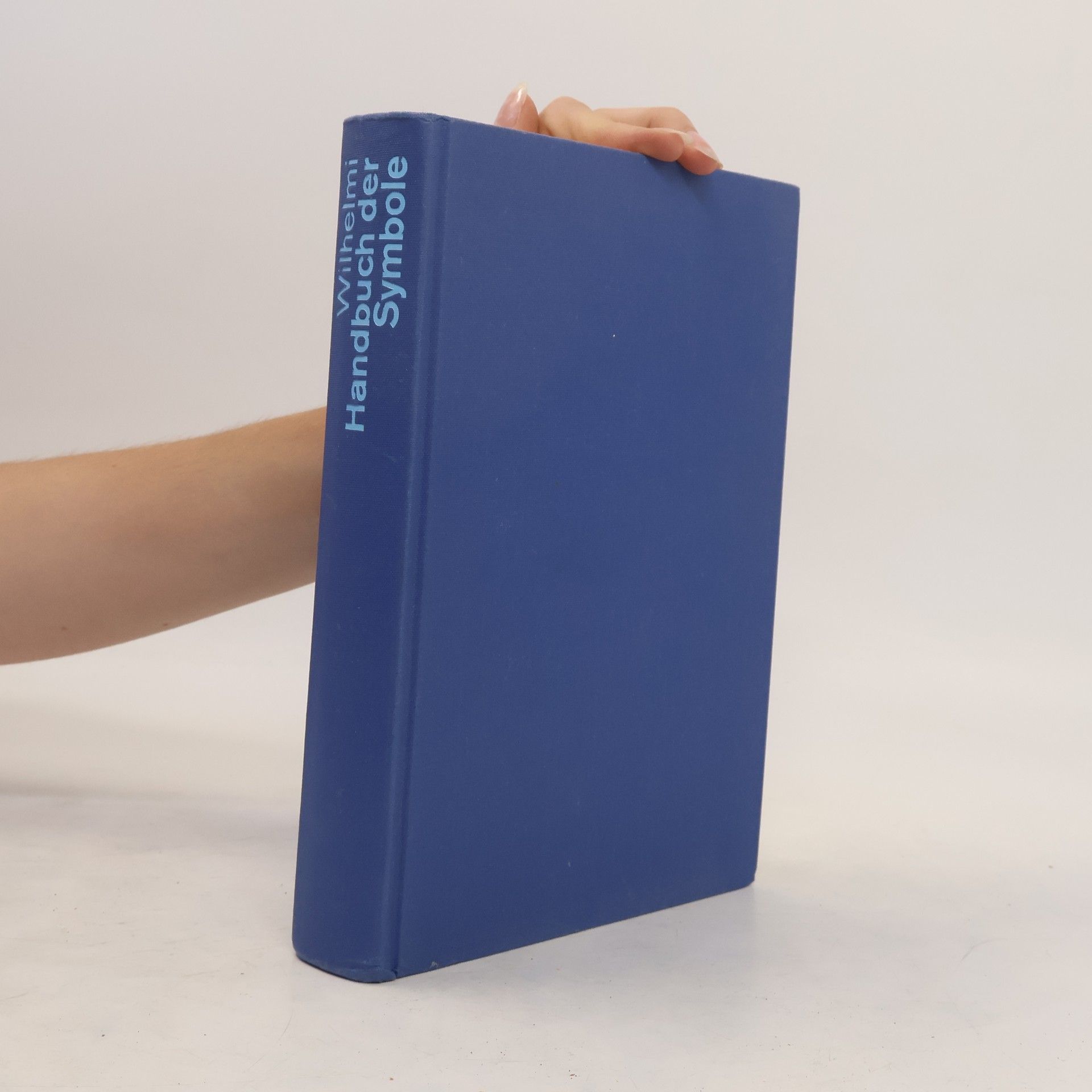 Christoph Wilhelmi Handbuch der Symbole in der bildenden Kunst des 20. [zwanzigsten] Jahrhunderts