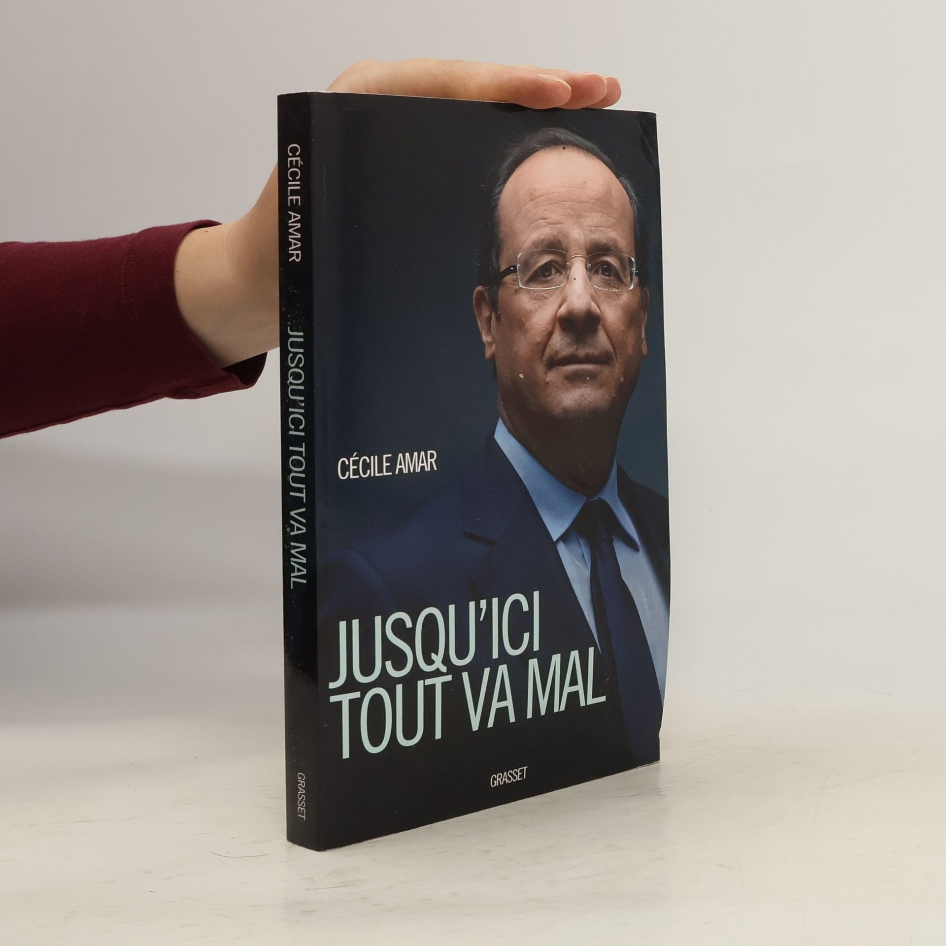 Cecile Debray-Amar Jusqu'ici tout va mal