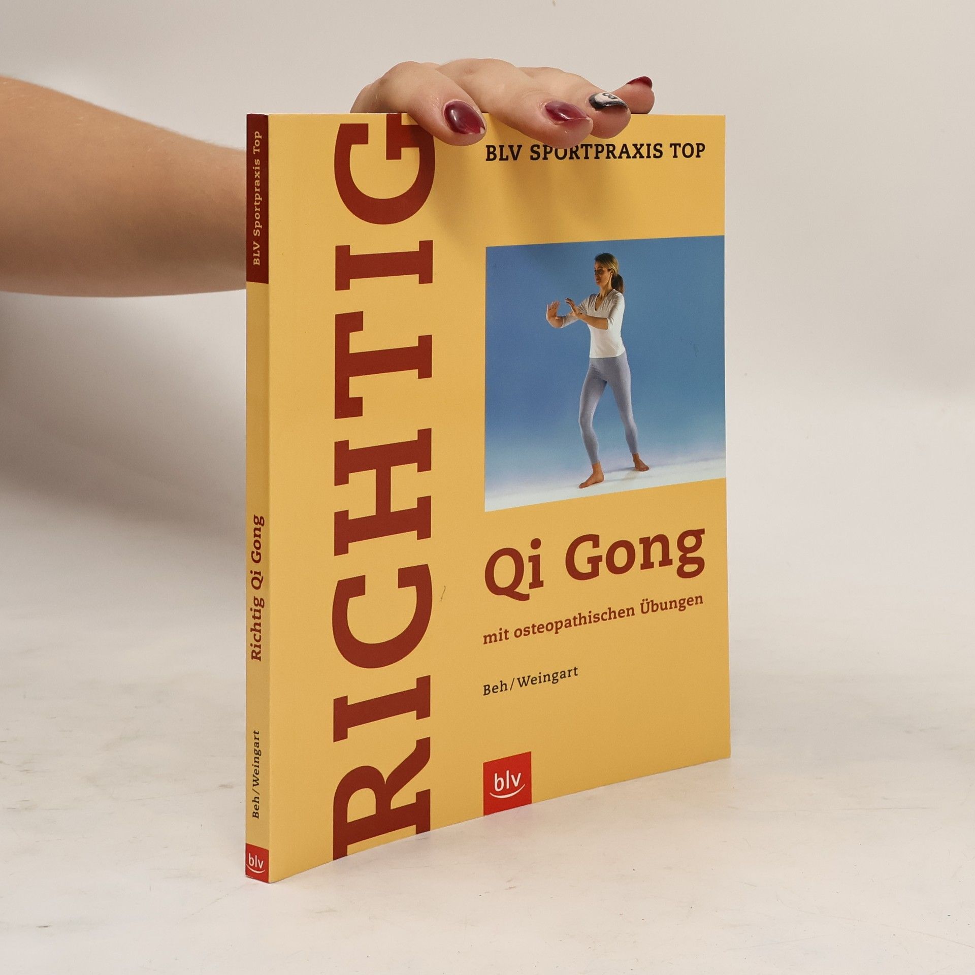 Dieter Beh Richtig Qi-qong