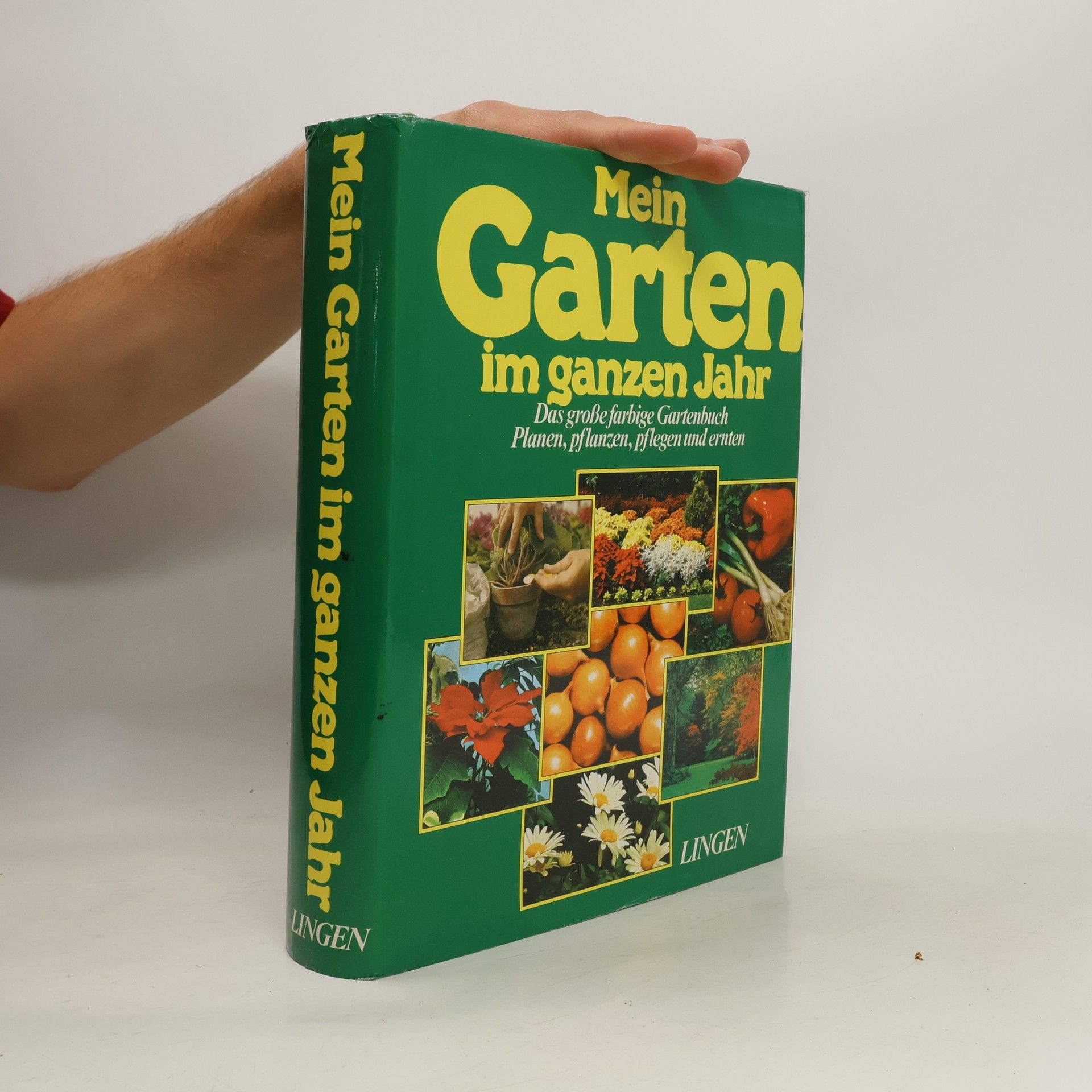 Autorenkollektiv Mein Garten im ganzen Jahr