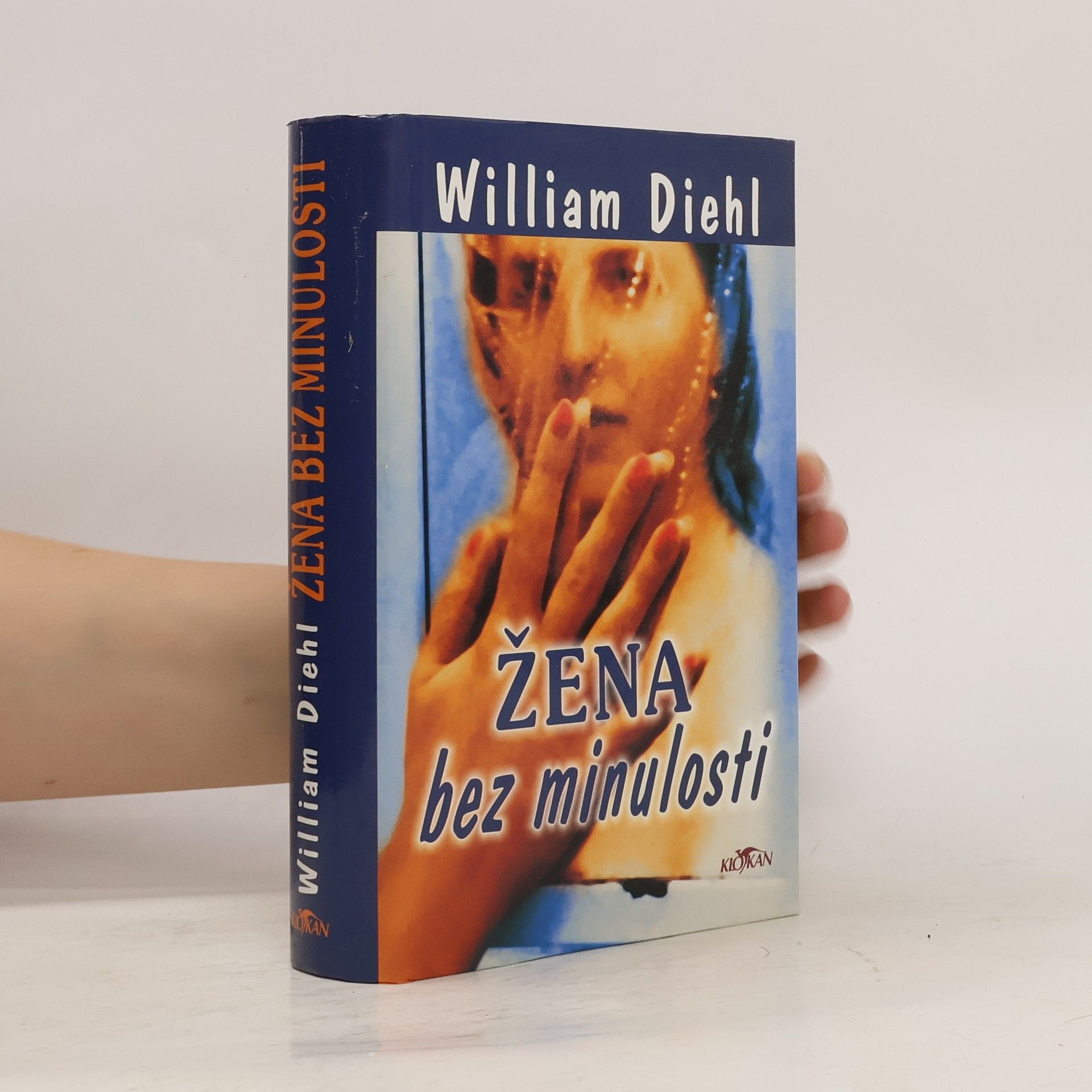 William Diehl Žena bez minulosti
