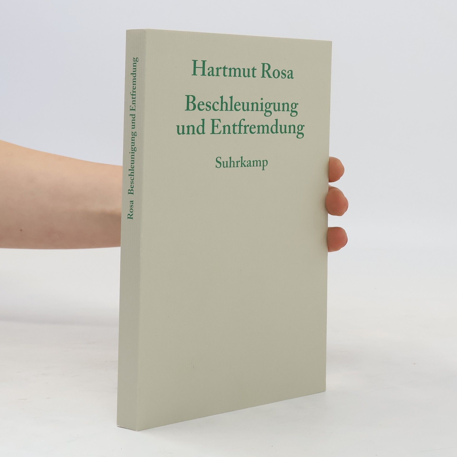 Hartmut Rosa Beschleunigung und Entfremdung