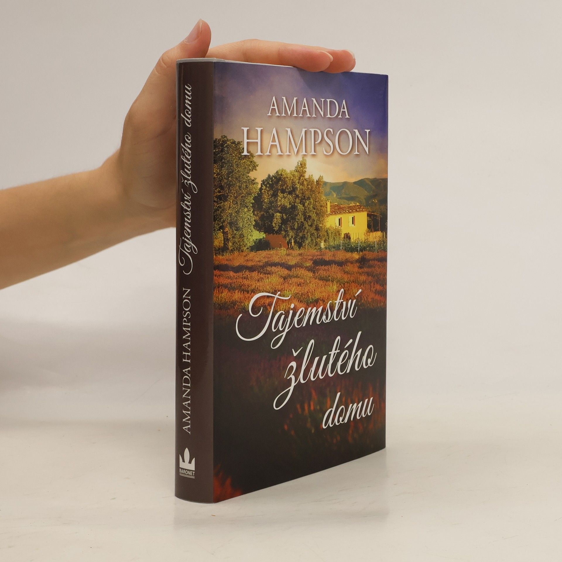 Amanda Hampson Tajemství žlutého domu
