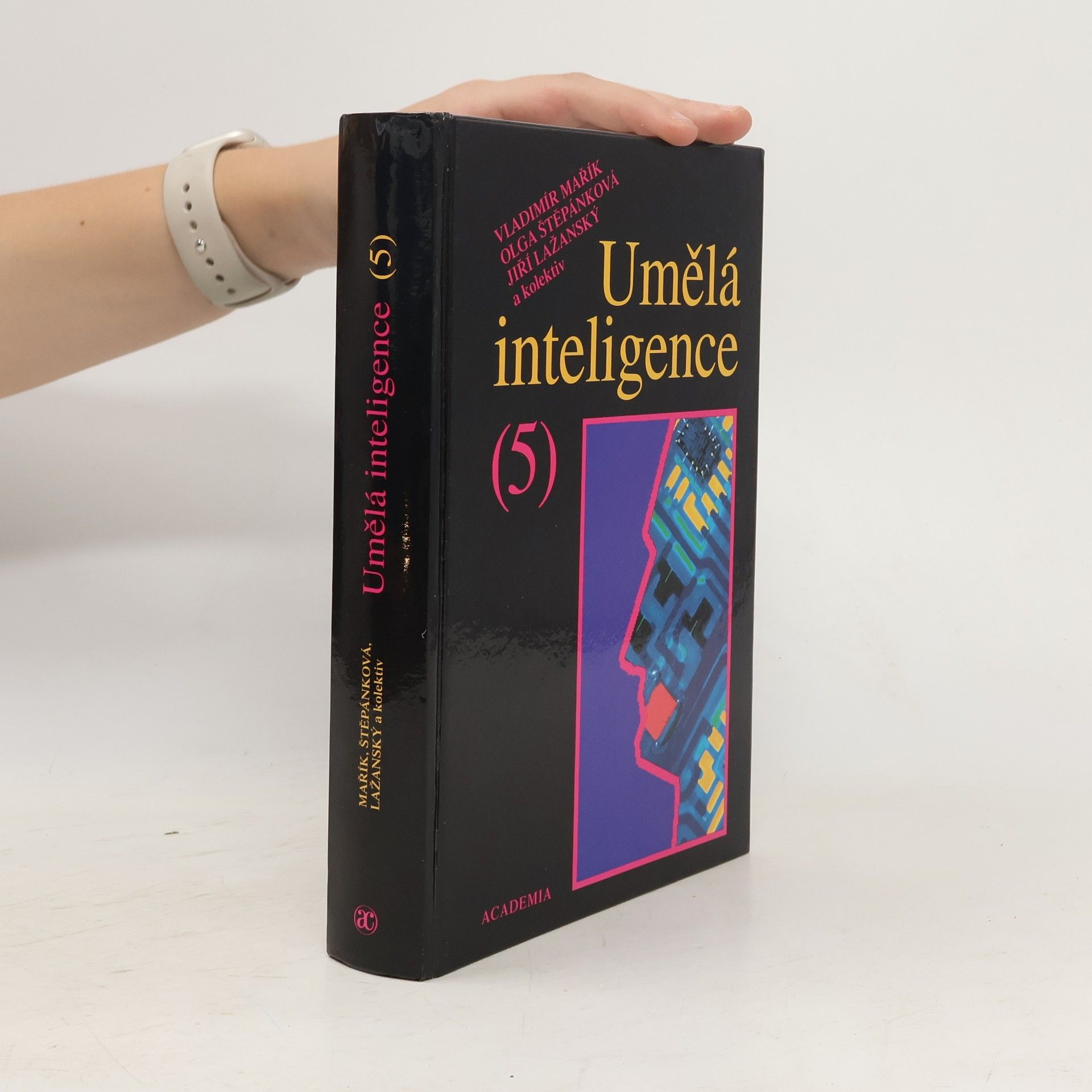 Vladimír Mařík Umělá inteligence (5)
