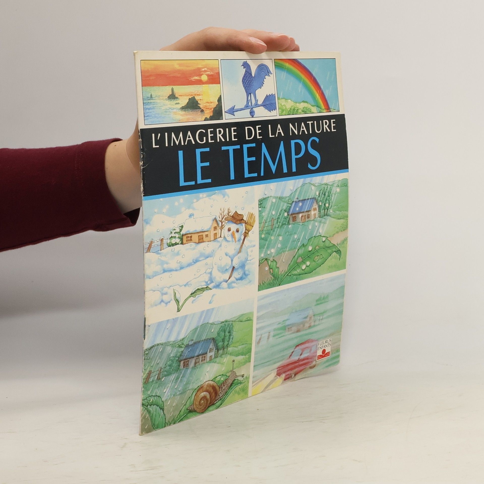 Emilie Beaumont Le temps
