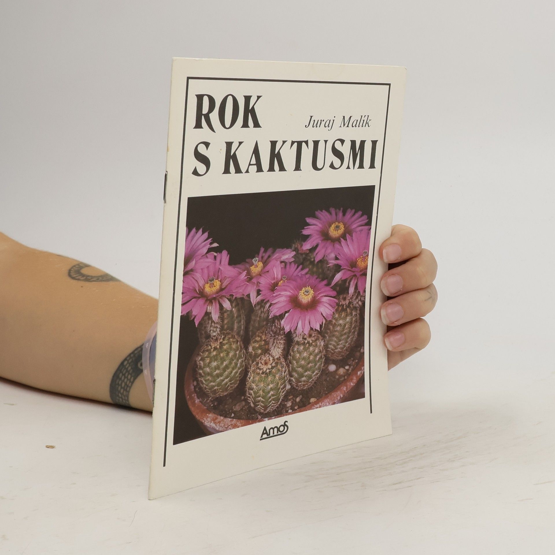 Juraj Málik Rok s kaktusmi