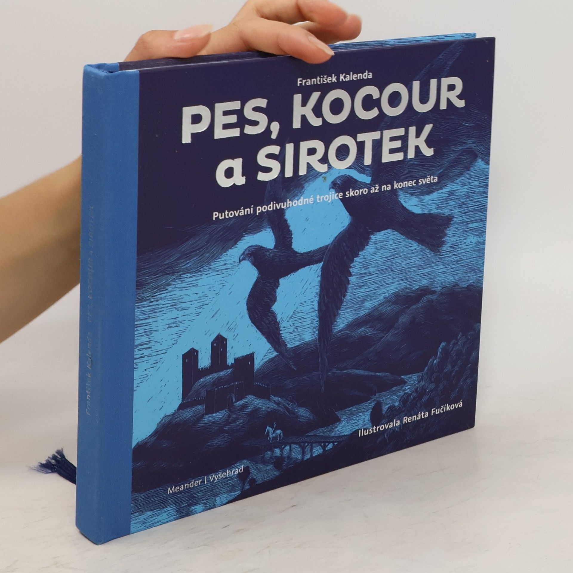 Renáta Fučíková Pes, kocour a sirotek