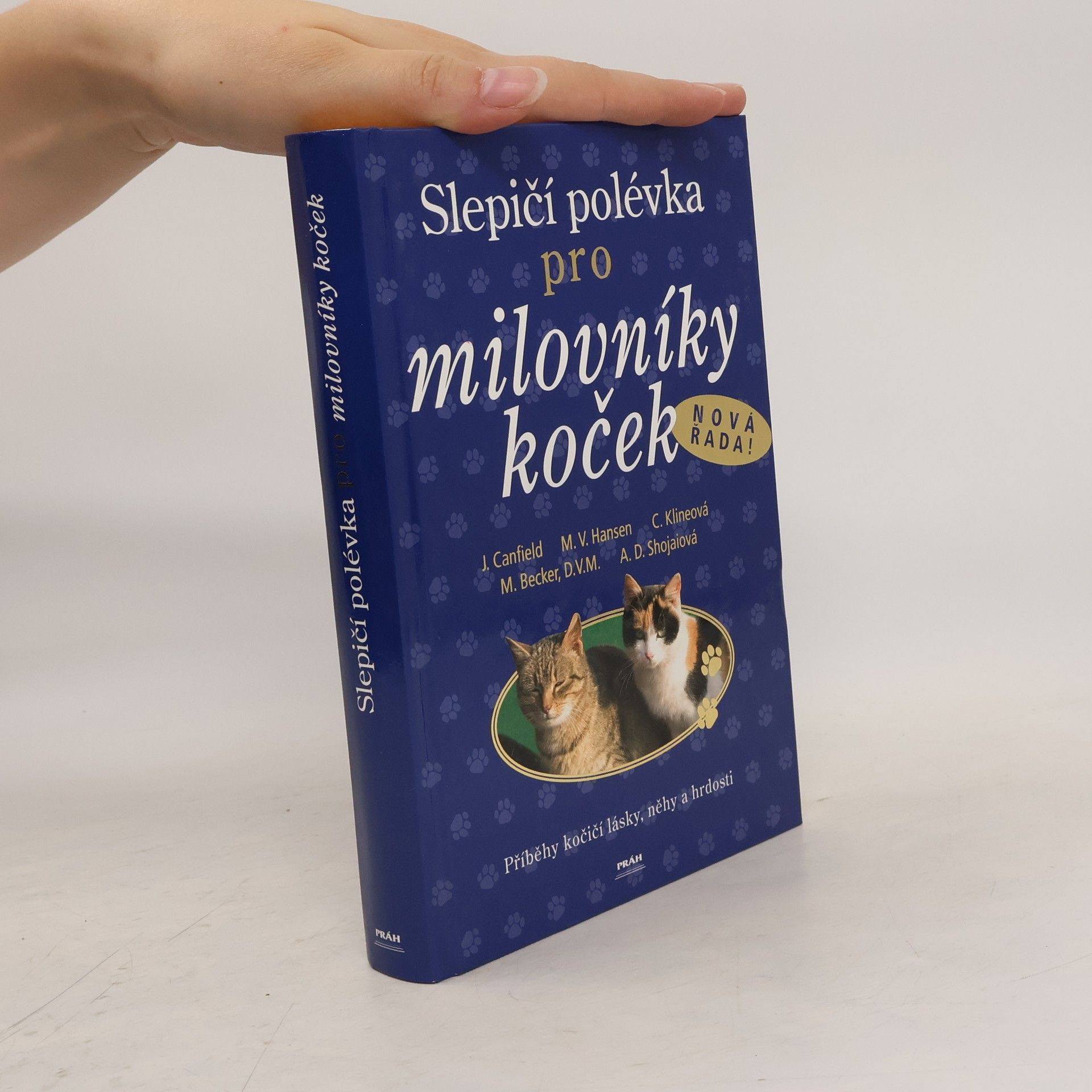 Jack Canfield Slepičí polévka pro milovníky koček: Příběhy o kočičí věrnosti, radosti i odvaze