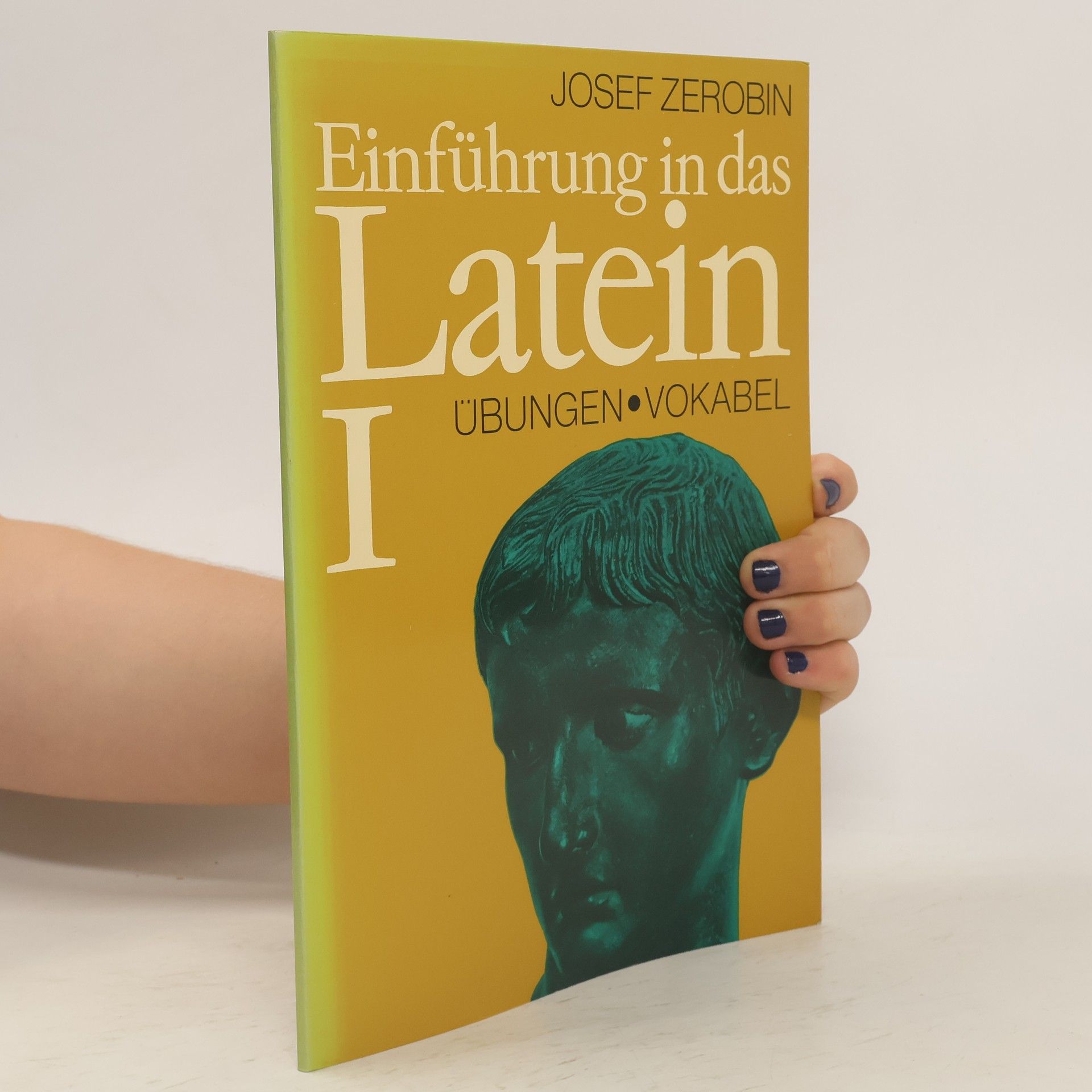Kolektív autorov Einführung in das Latein