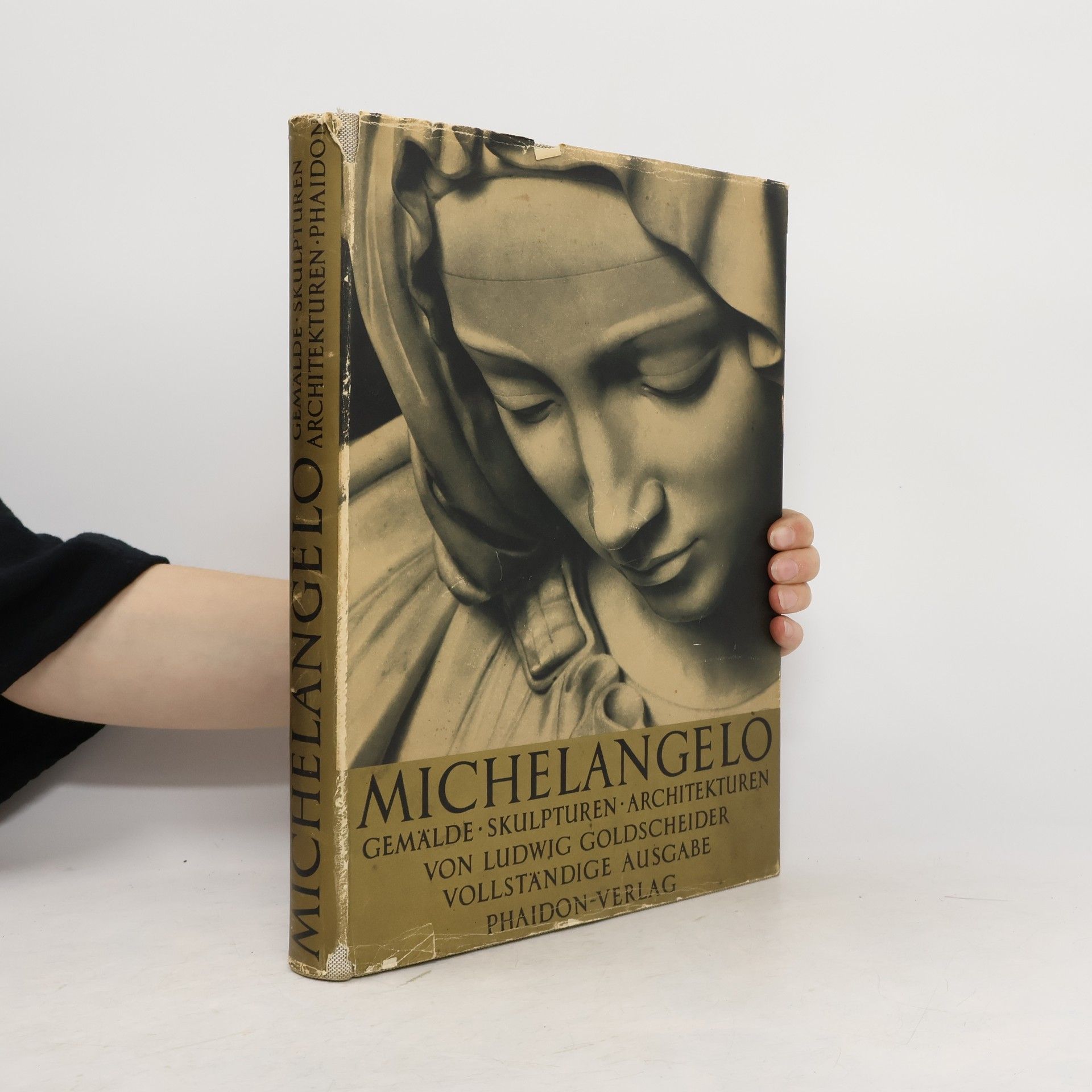 kolektiv Michelangelo