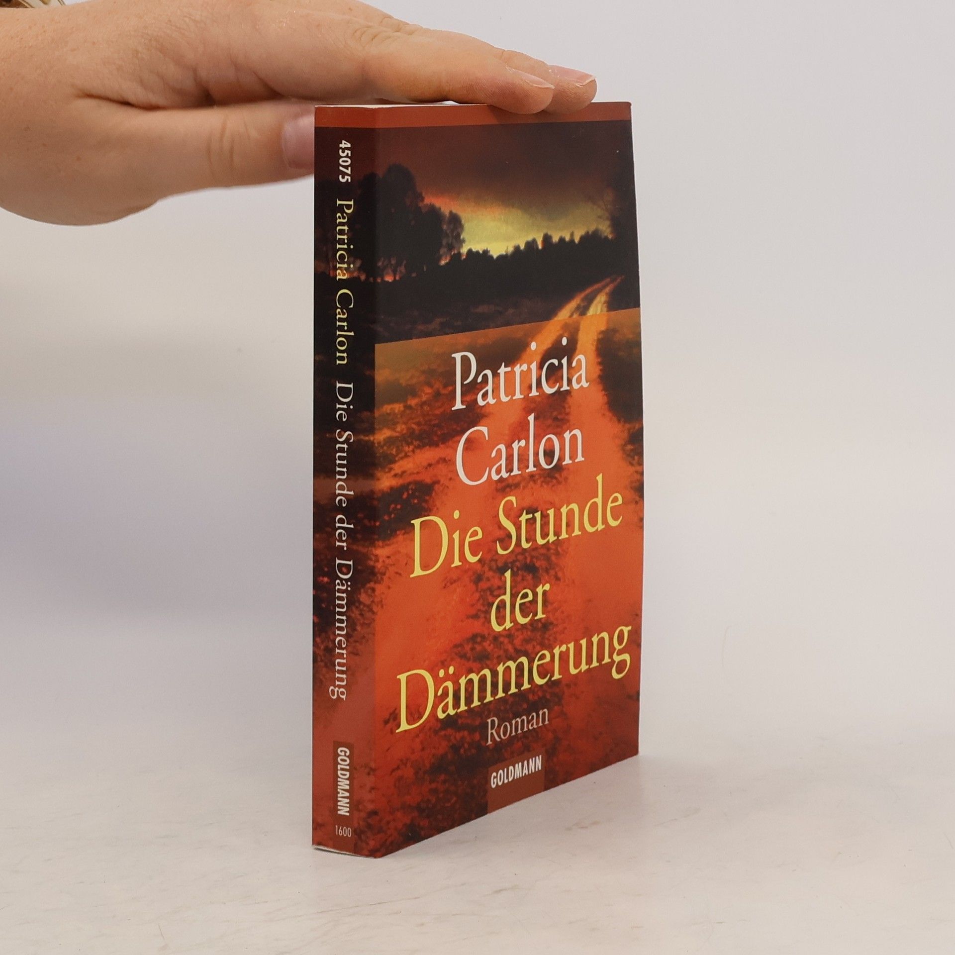 Patricia Carlon Die Stunde der Dämmerung