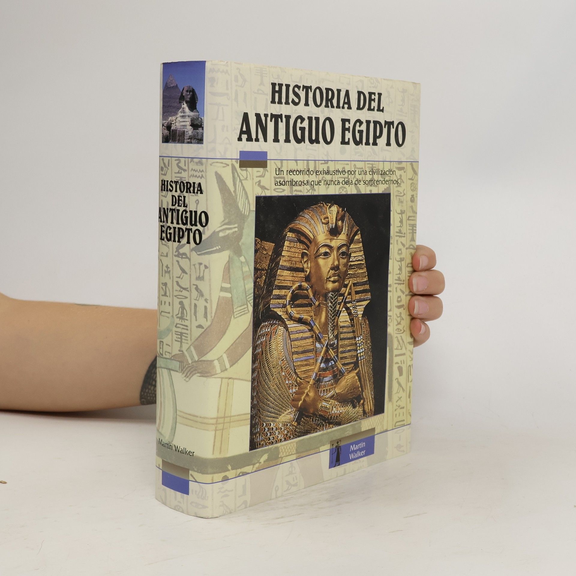 Martin Walker Historia del antiguo Egipto