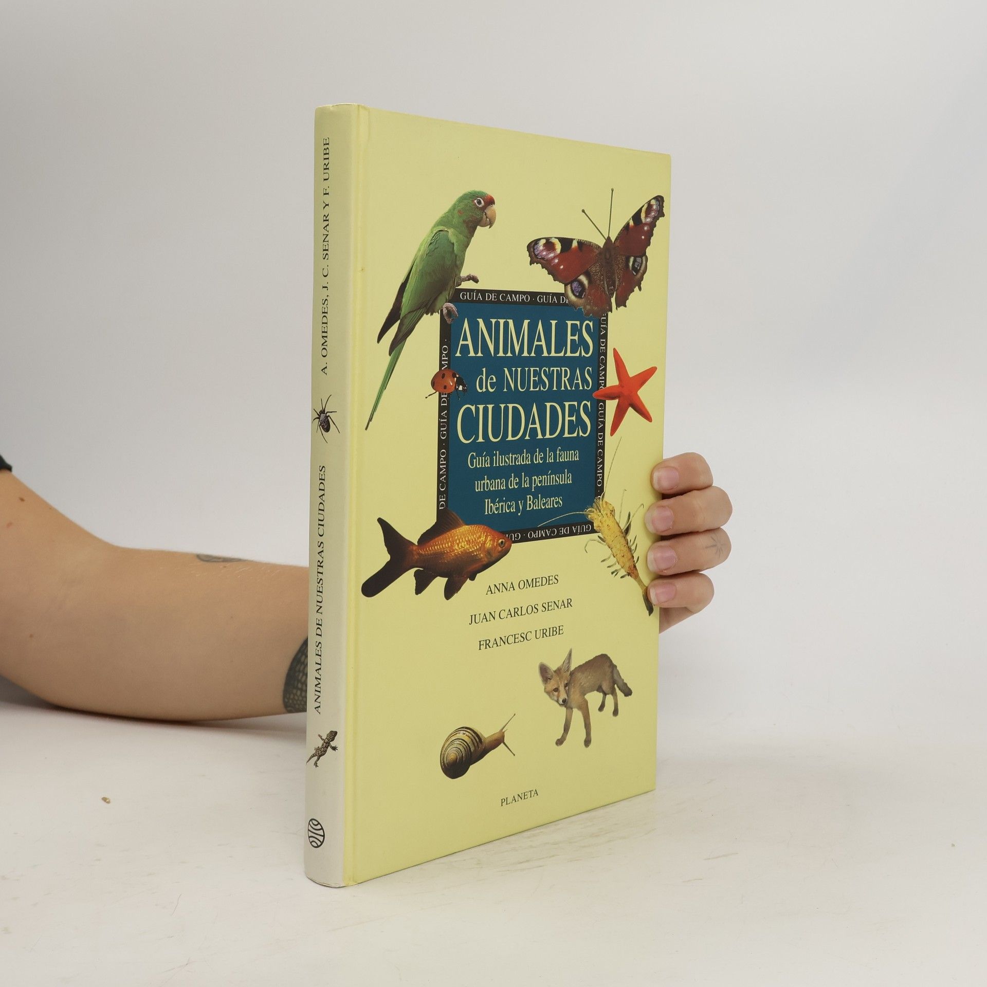 Autores varios Animales de nuestras ciudades