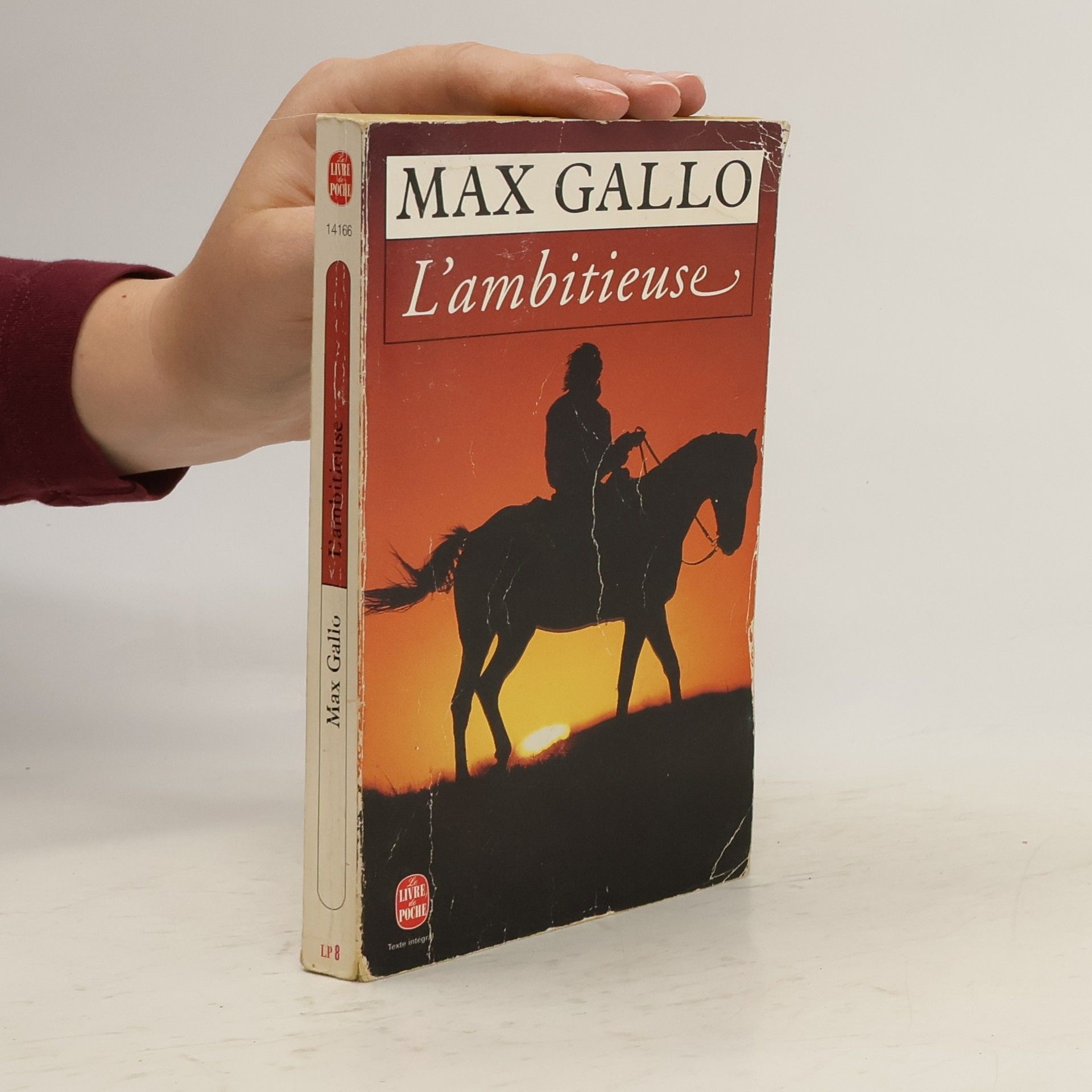 Max Gallo L'ambitieuse
