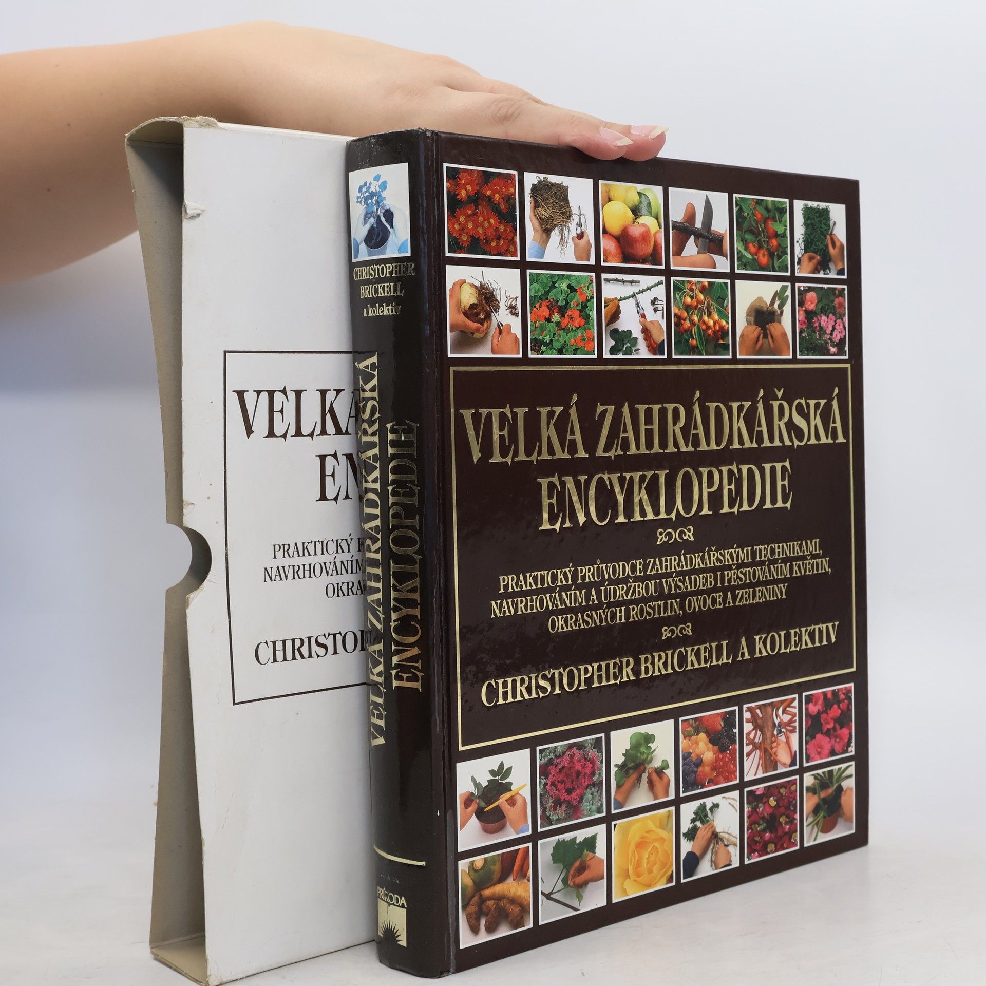 Kolektív autorov Velká zahrádkářská encyklopedie