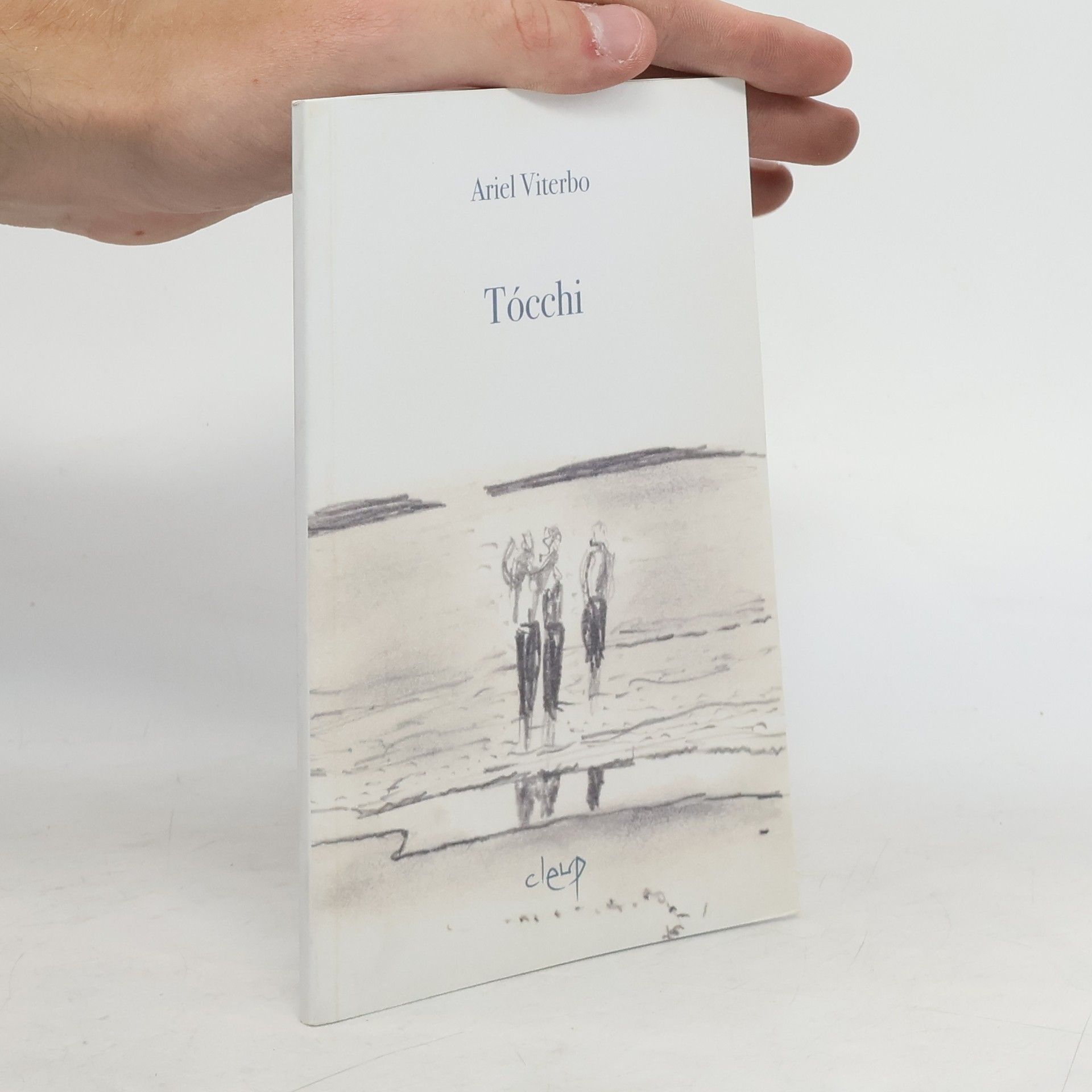 Ariel Viterbo Tócchi 2010-2012