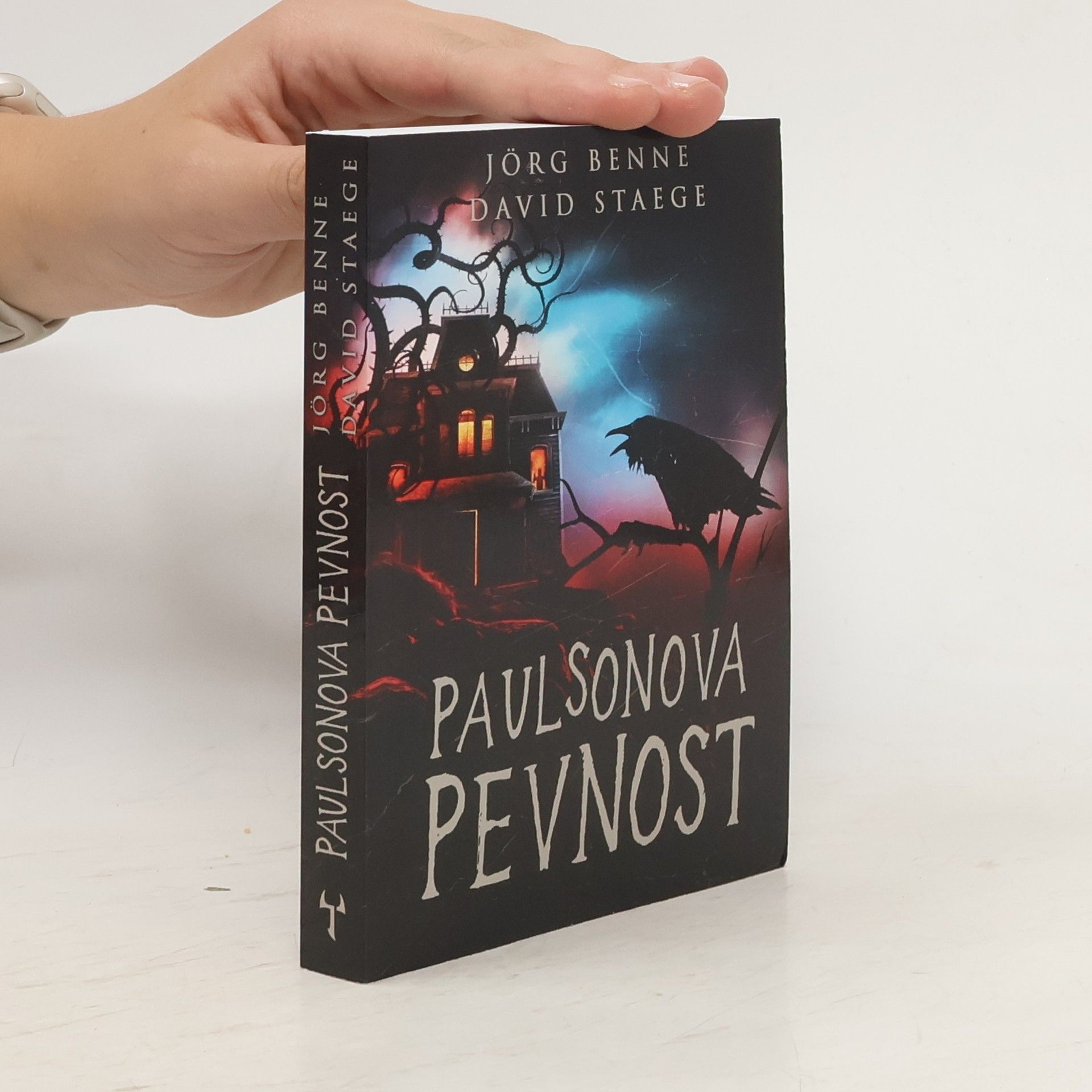 David Staege Paulsonova pevnost