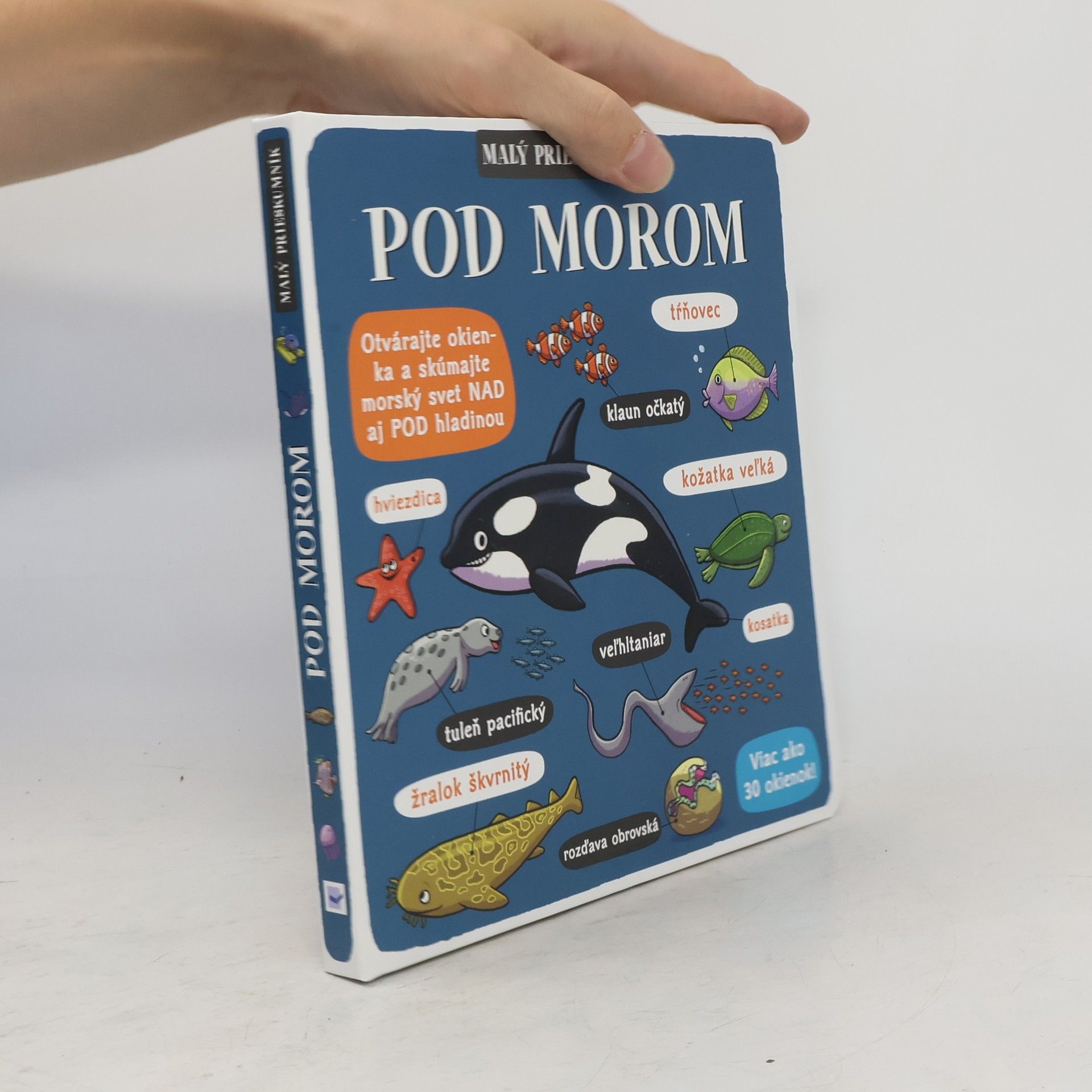 Autorenkollektiv Pod morom