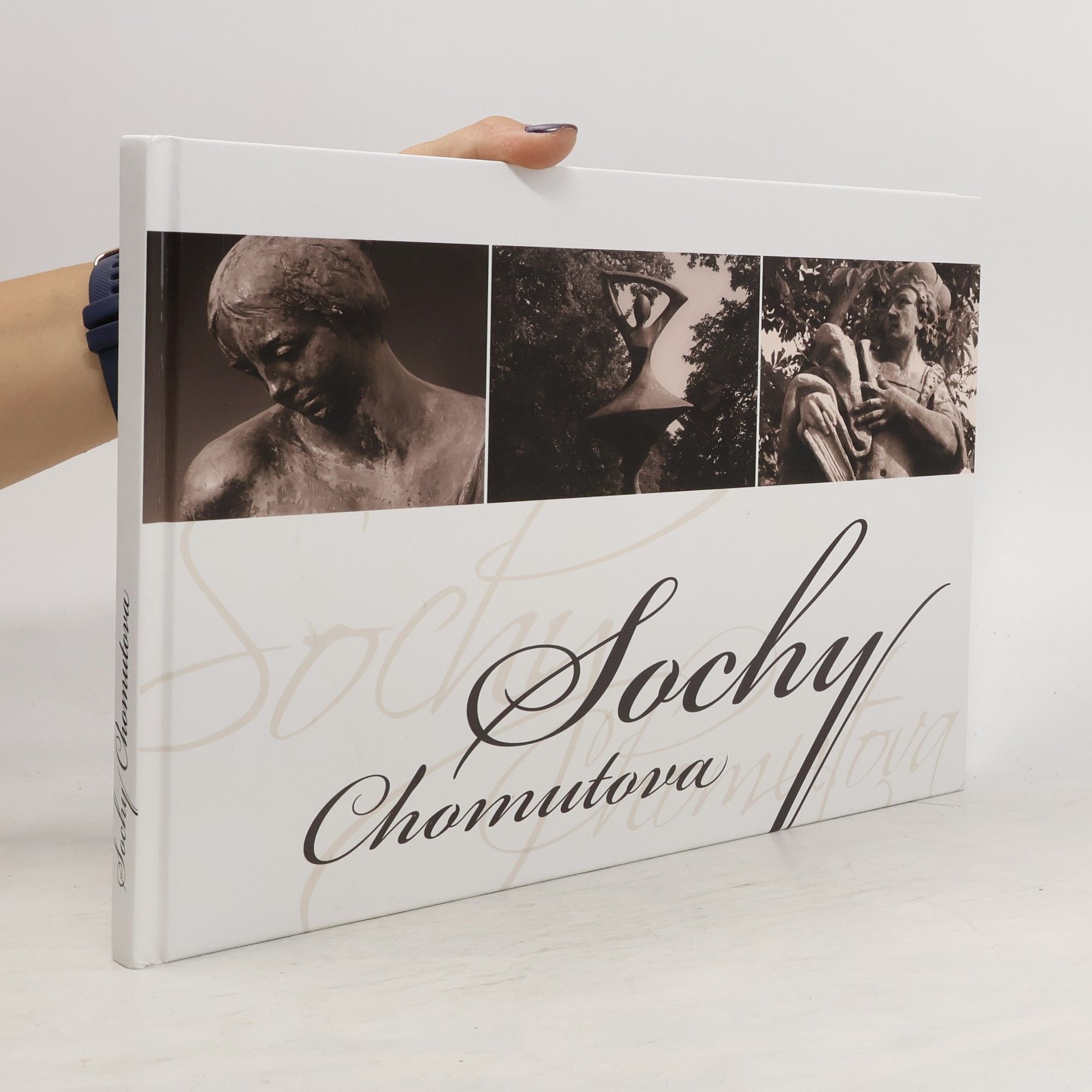 Jaroslav Pachner Sochy Chomutova